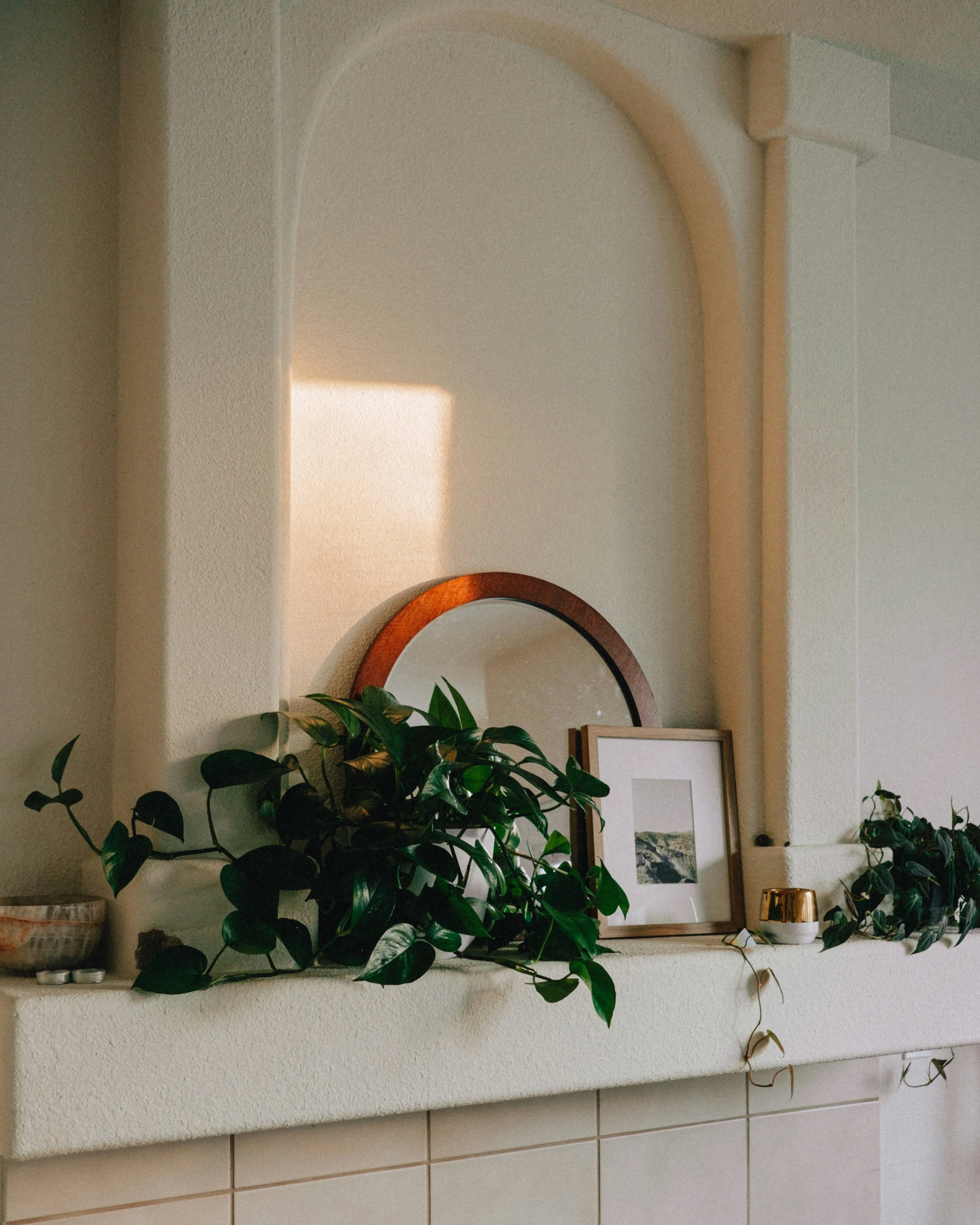 The Best Gift Ideas for Plant Lovers and Gardeners for 2022