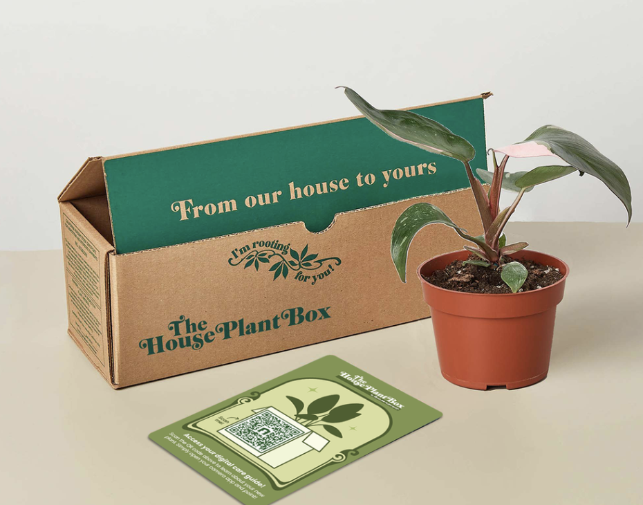 2022 Gift Guide: The Best Gifts for The Plant Lovers and Plant Obsessed!