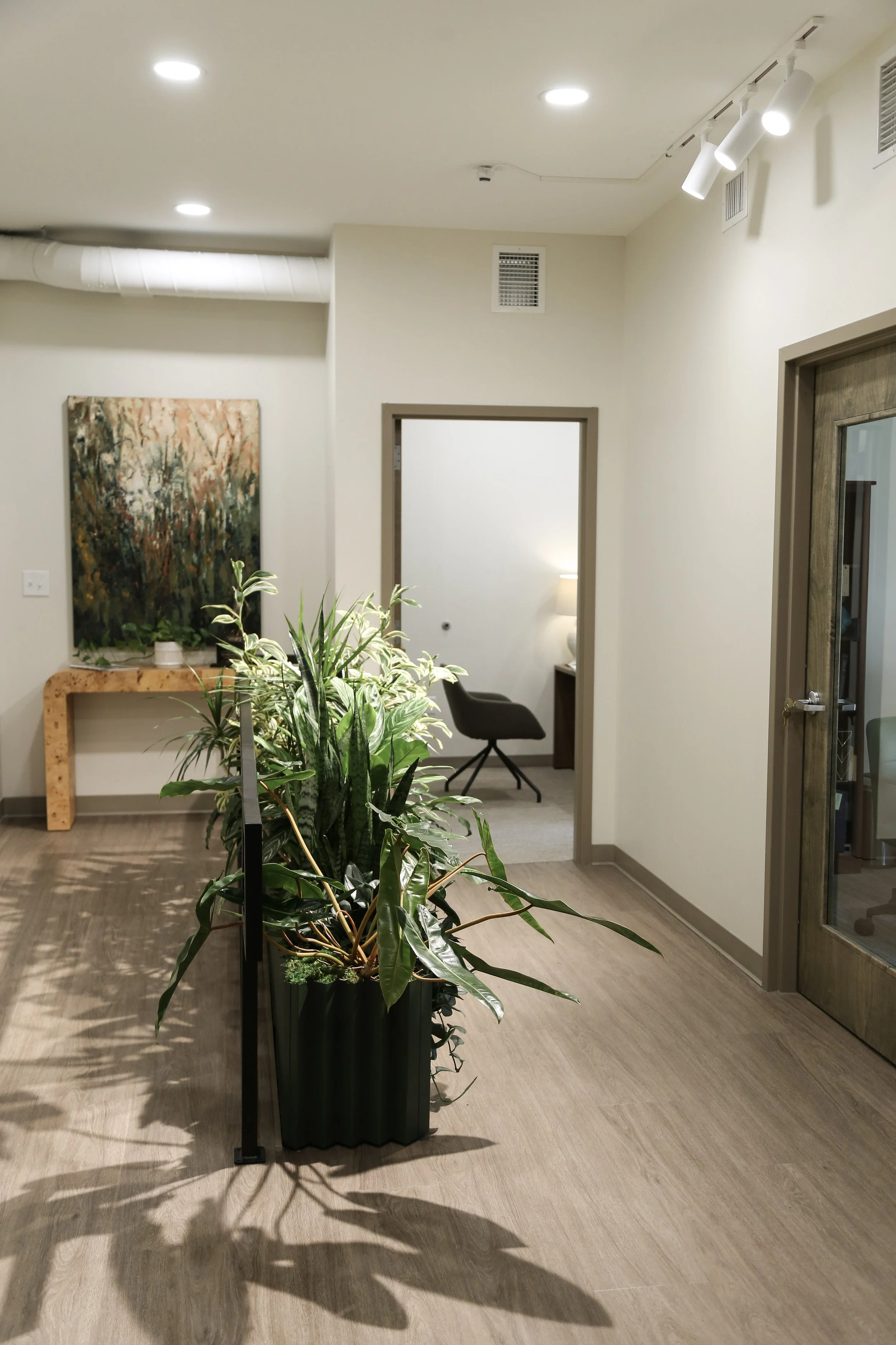 Plant Savvy_HMC Civil Rights Law Firm.jpg