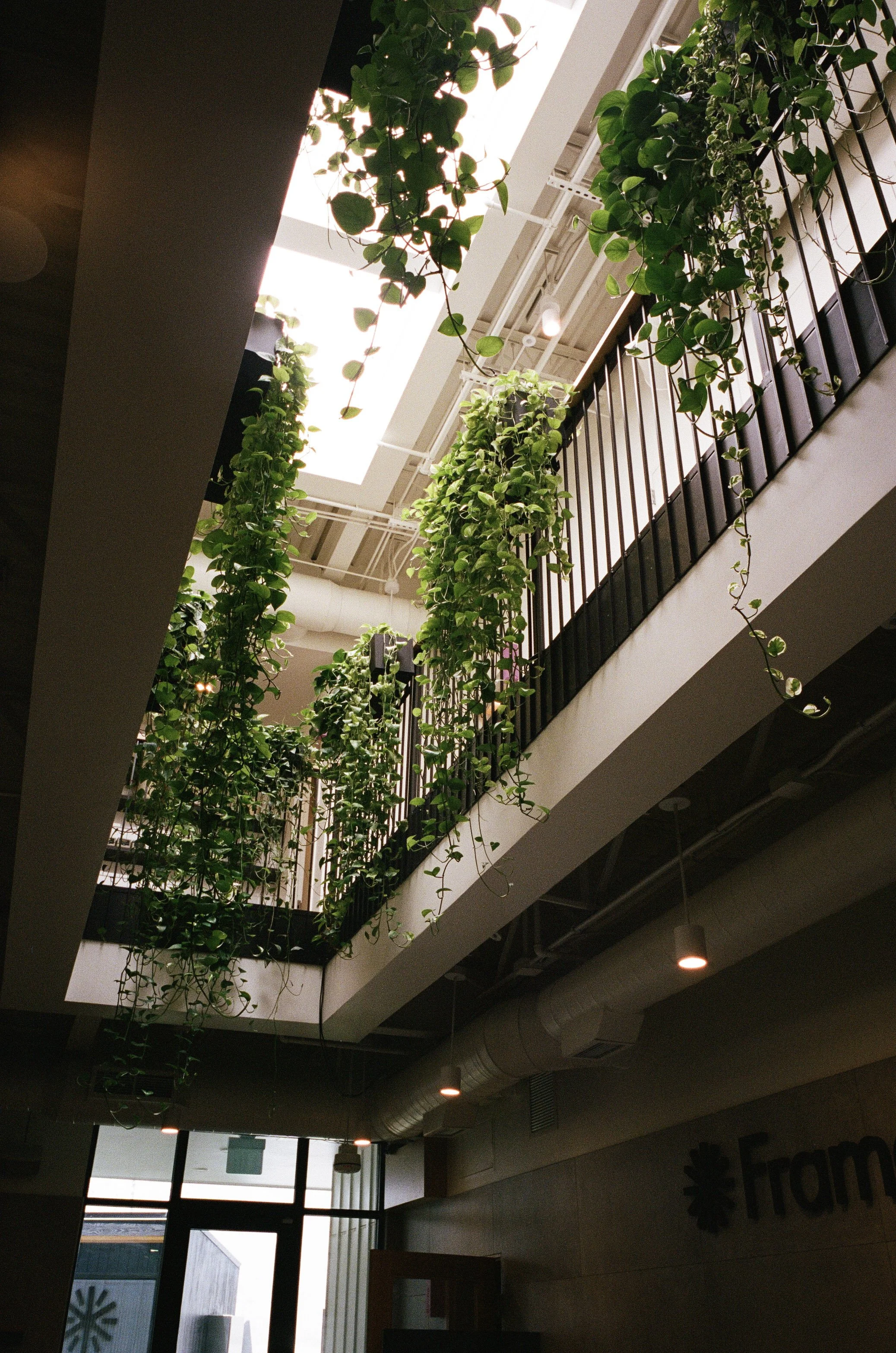 Plant Savvy-Framework, Nashville