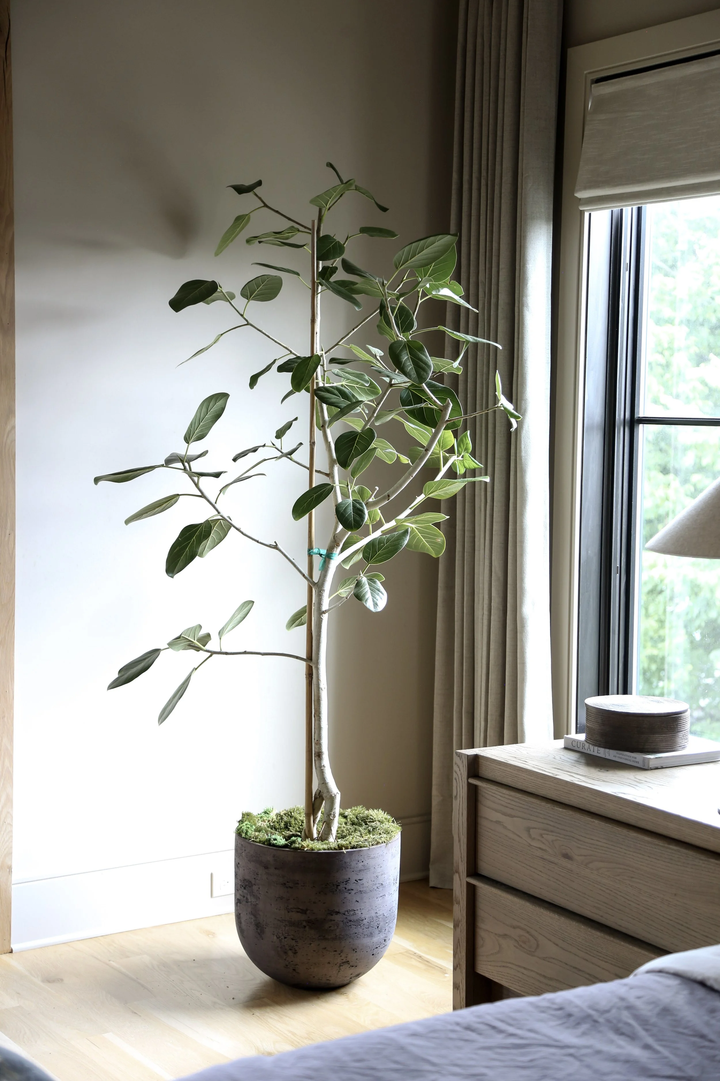 Plant Savvy, Sylvan Park Garden Retreat, Nashville, TN