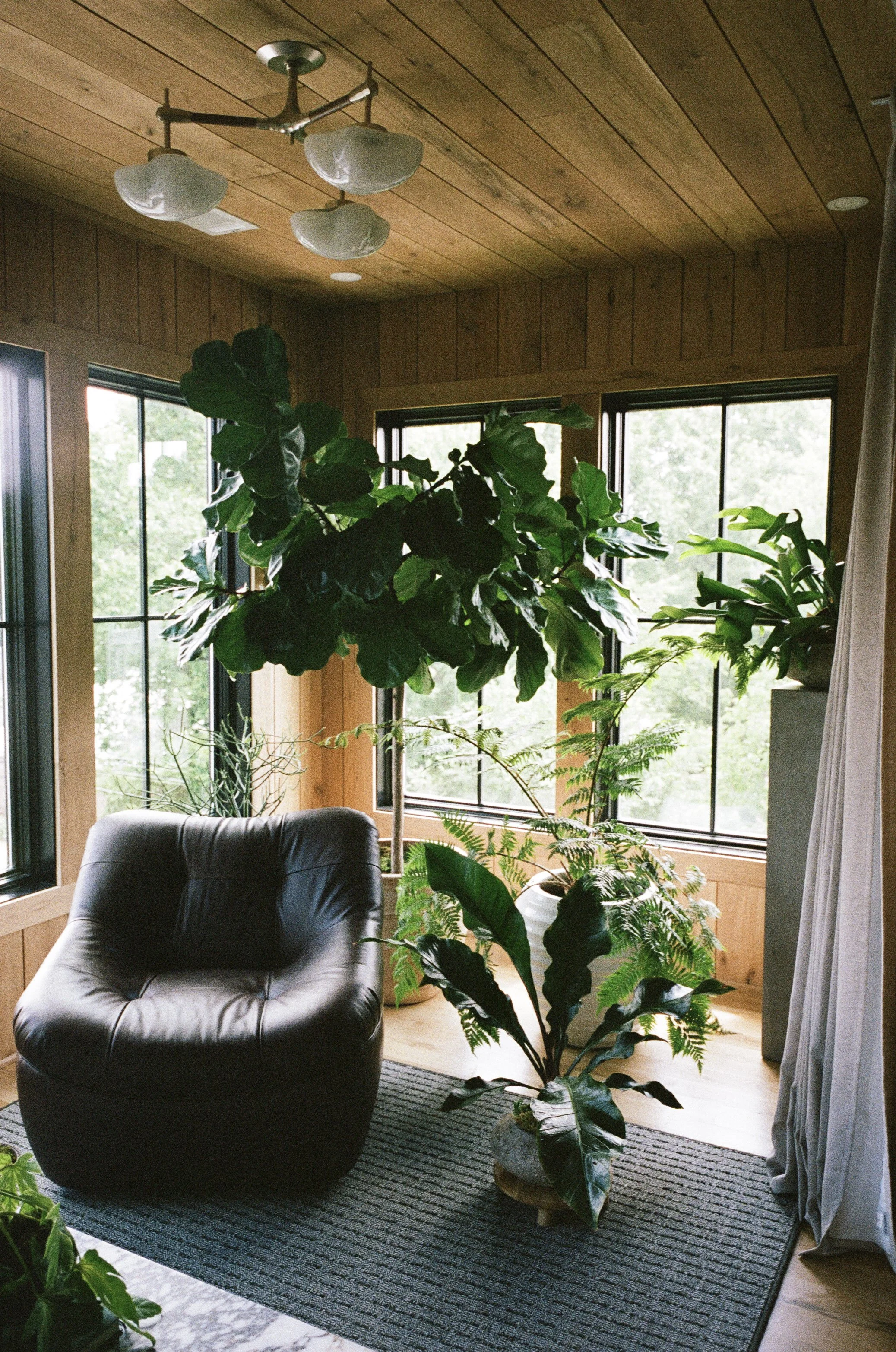 Plant Savvy-Sylvan Park Garden Retreat, Nashville, TN