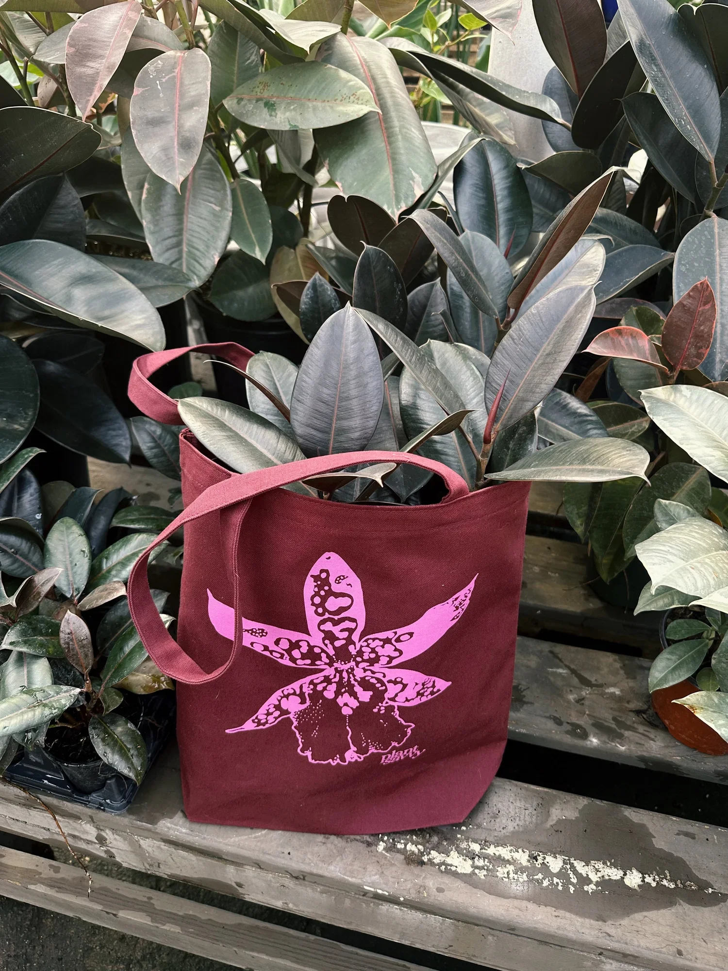Plant Savvy_Tote_3.webp