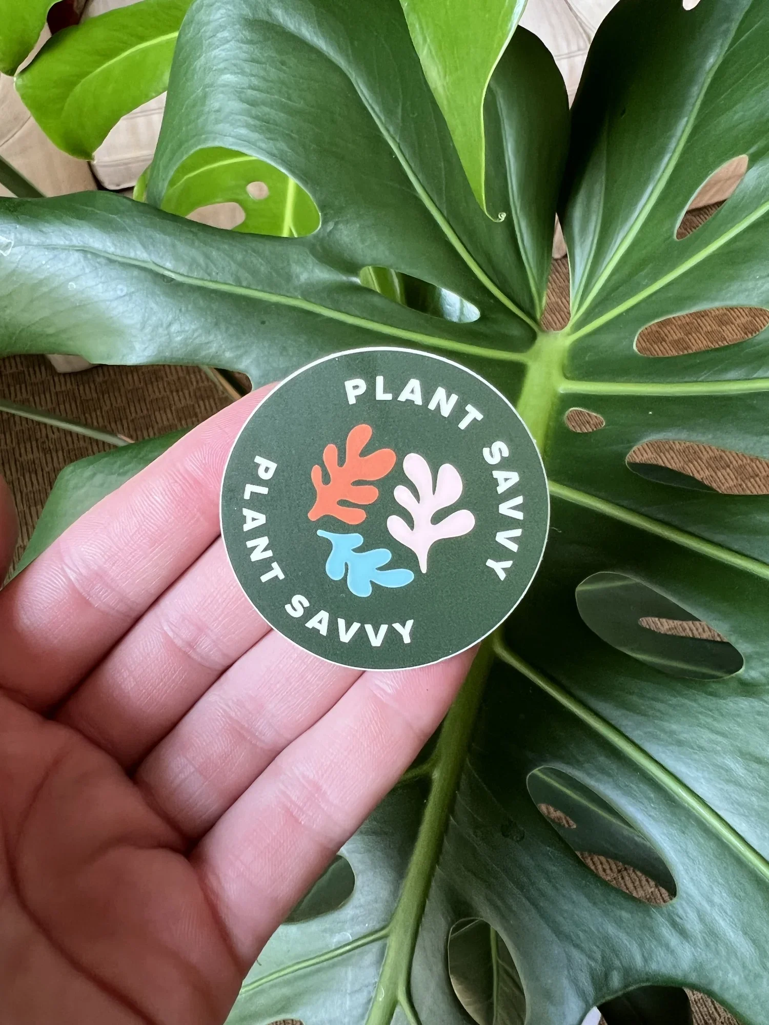 Plant Savvy_Stickers_Green_1.webp