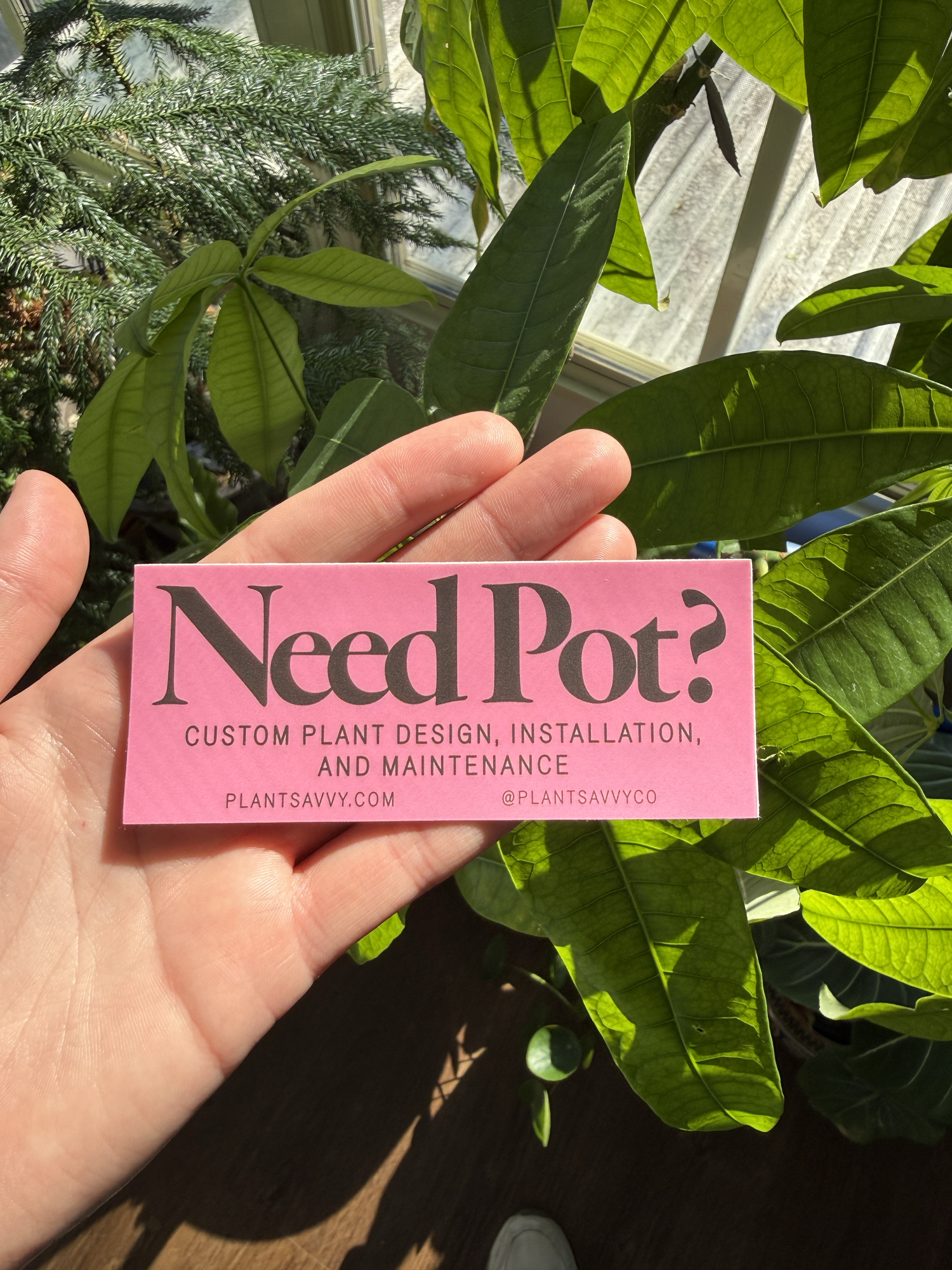 Need Pot? Sticker