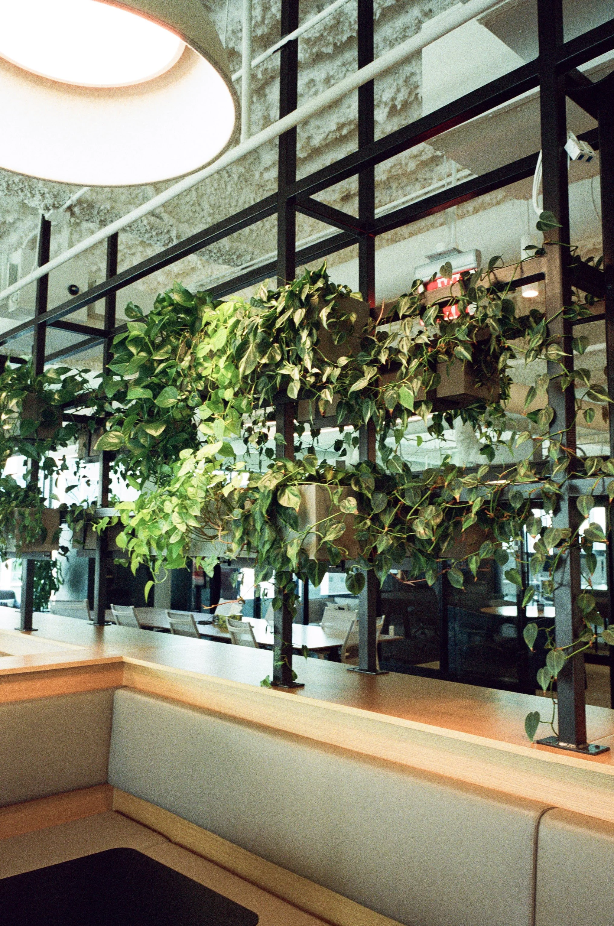 Plantscaping Plant Savvy-Metropolis