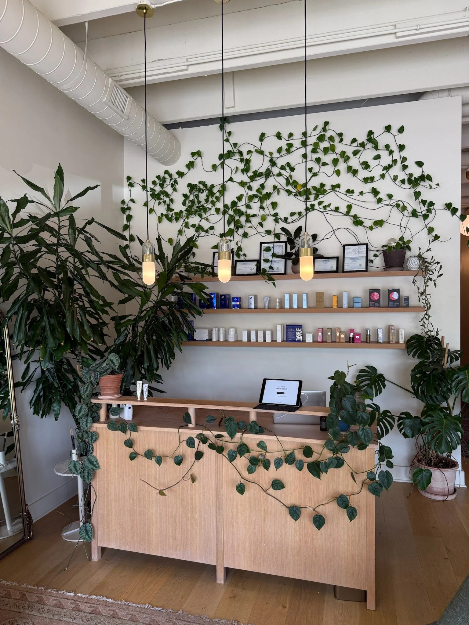 Plant Design, Hannah Ellis Skincare, Plant Savvy, East Nashville TN
