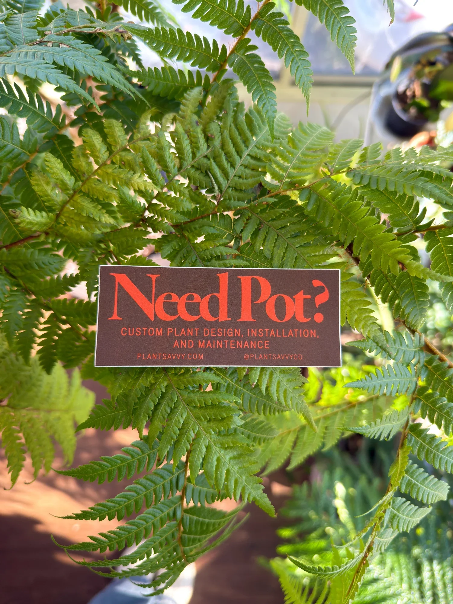 Plant Savvy–Need Pot Sticker_3.webp