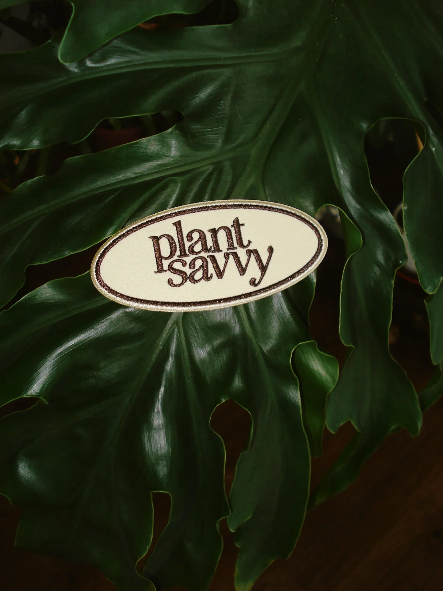 Plant Savvy Patch