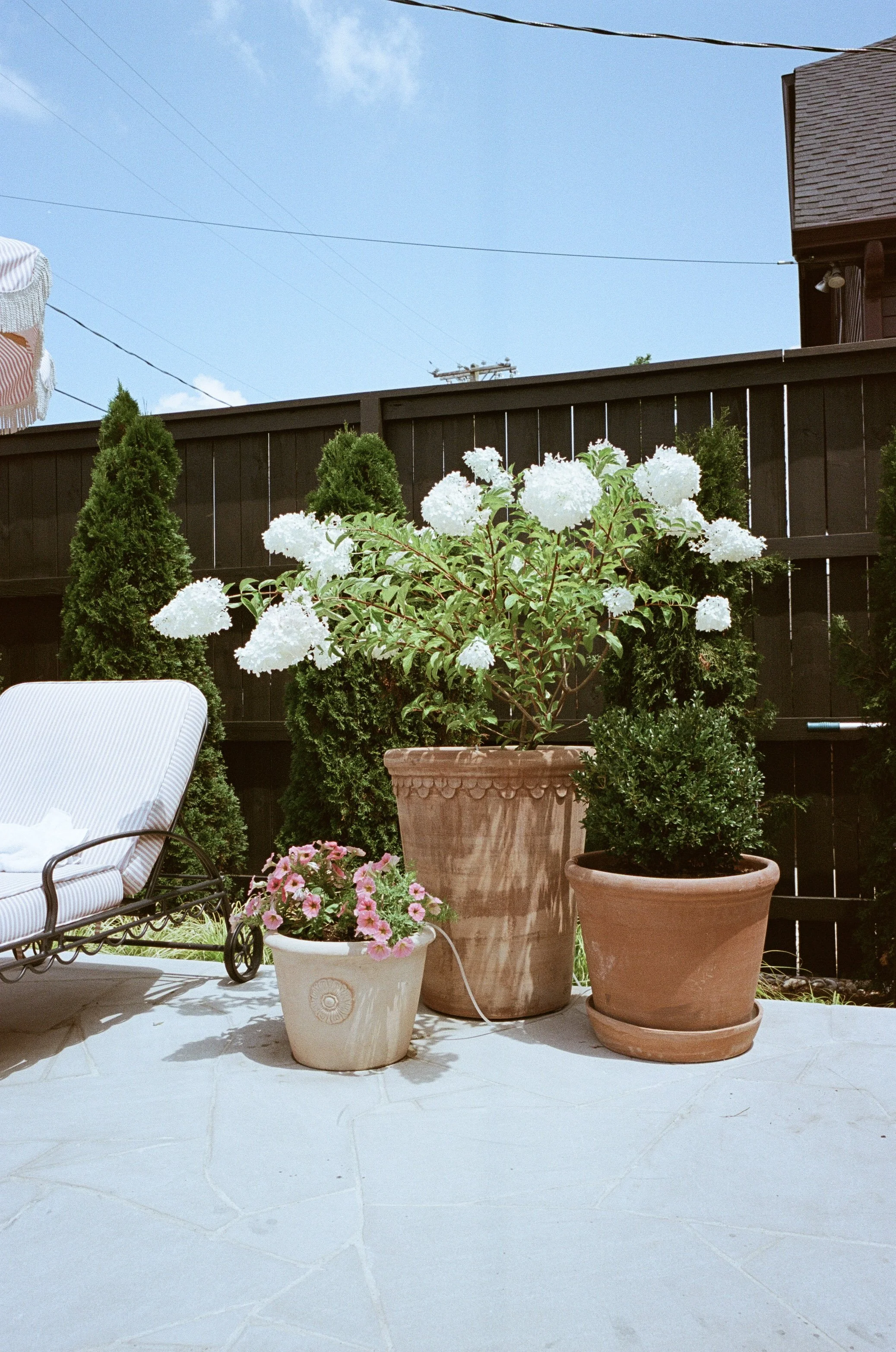 Plant Savvy-States of Leisure, 5 Points, Nashville