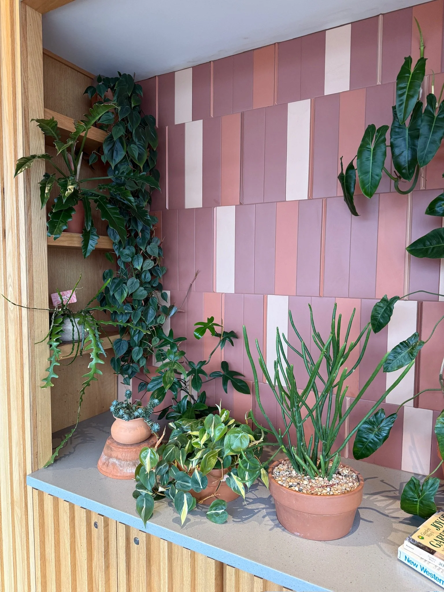Plant Savvy-Ladybird Taco, Nashville