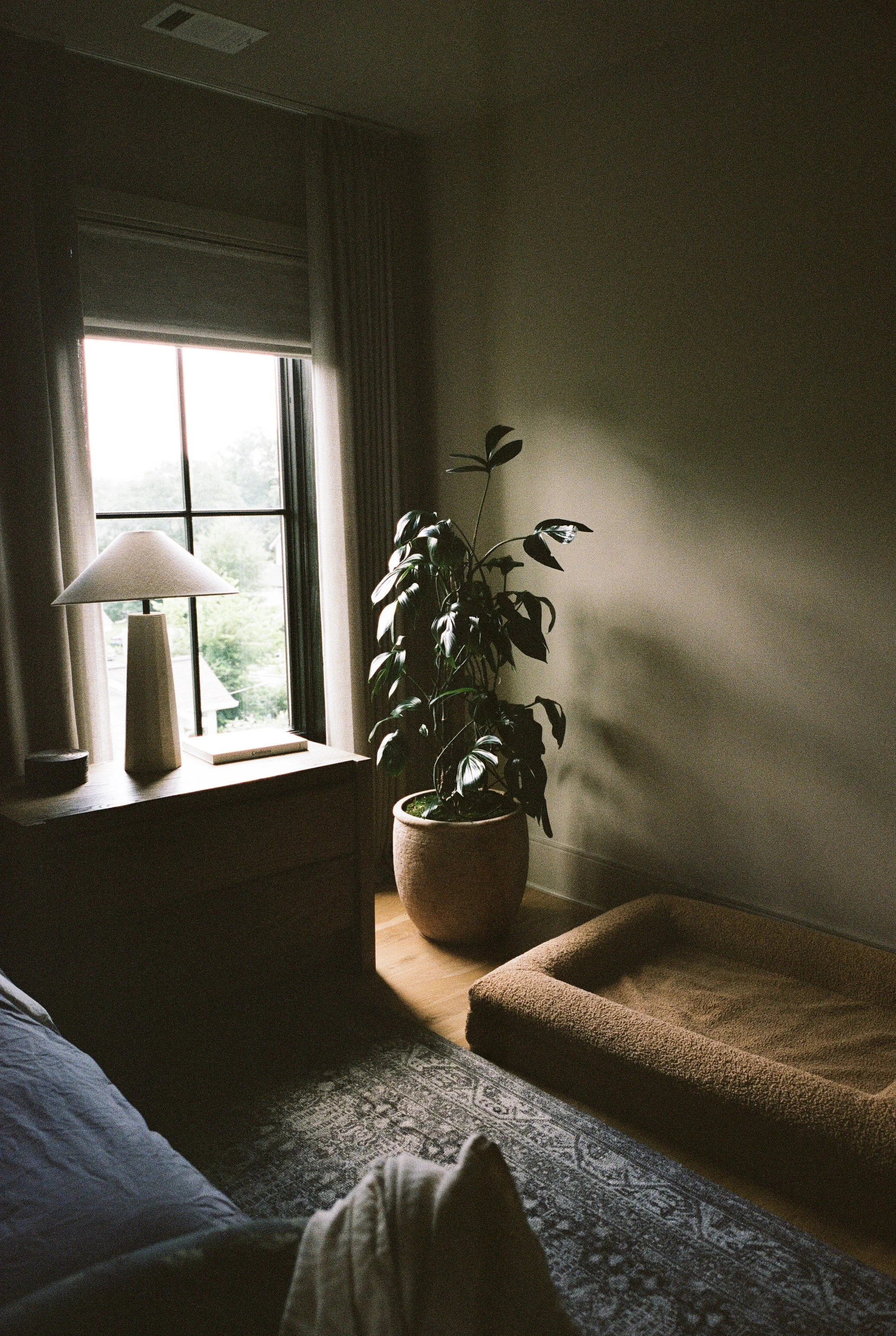 Plant Savvy, Sylvan Park Garden Retreat, Nashville, TN