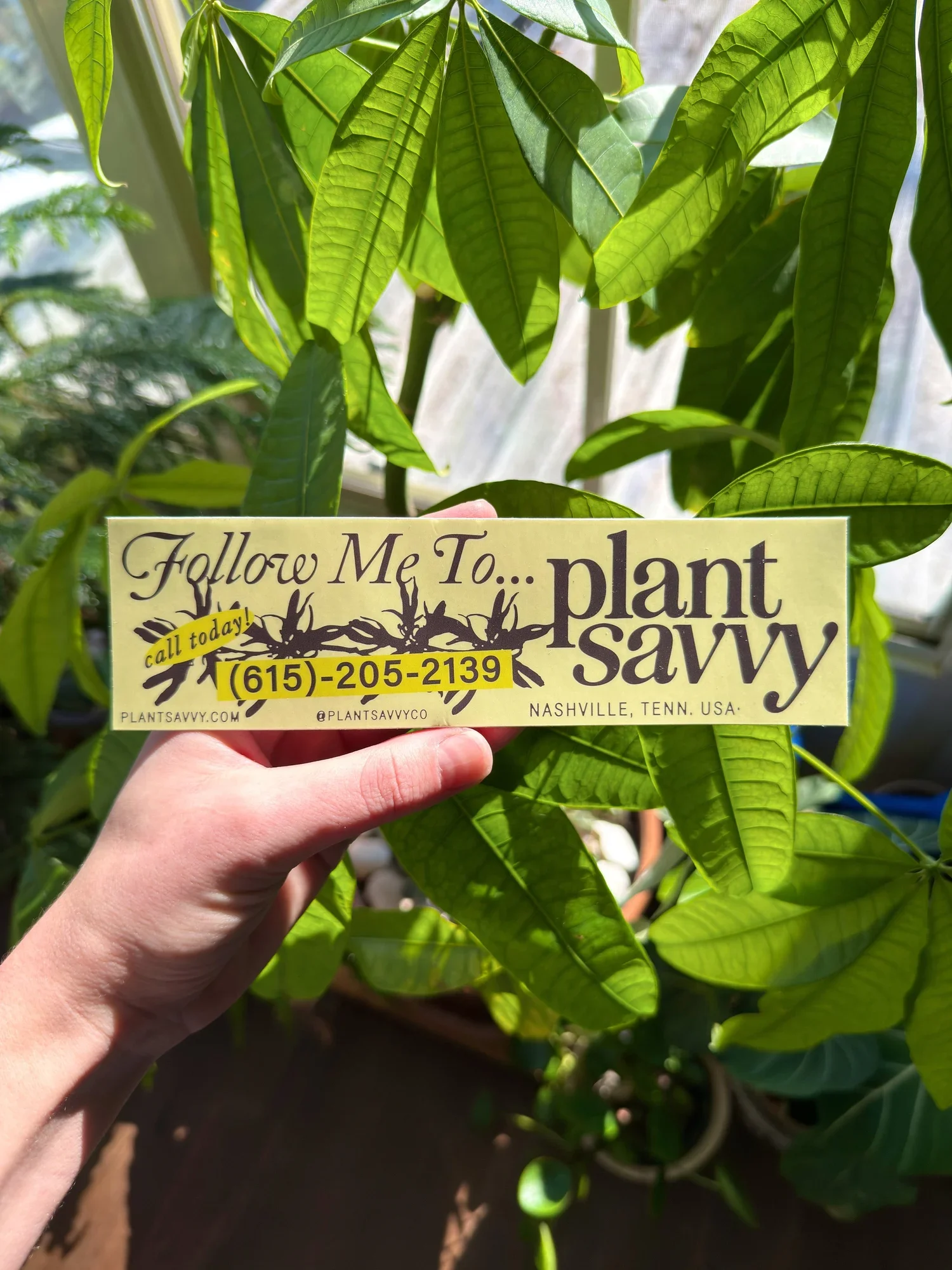Follow Me Bumper Sticker