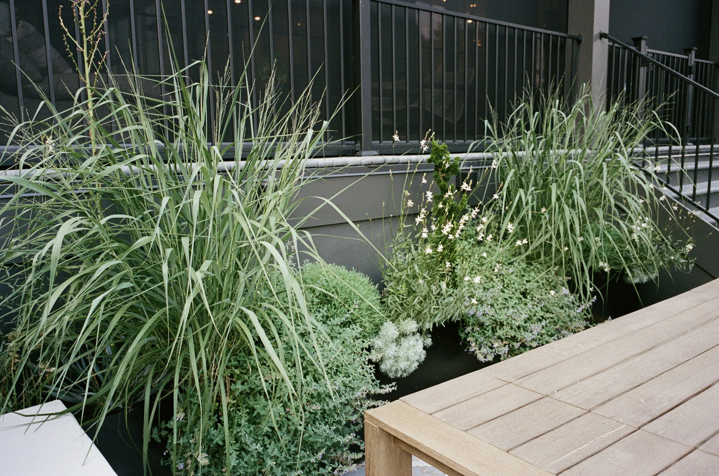Plant Savvy-Sylvan Park Garden Retreat, Nashville