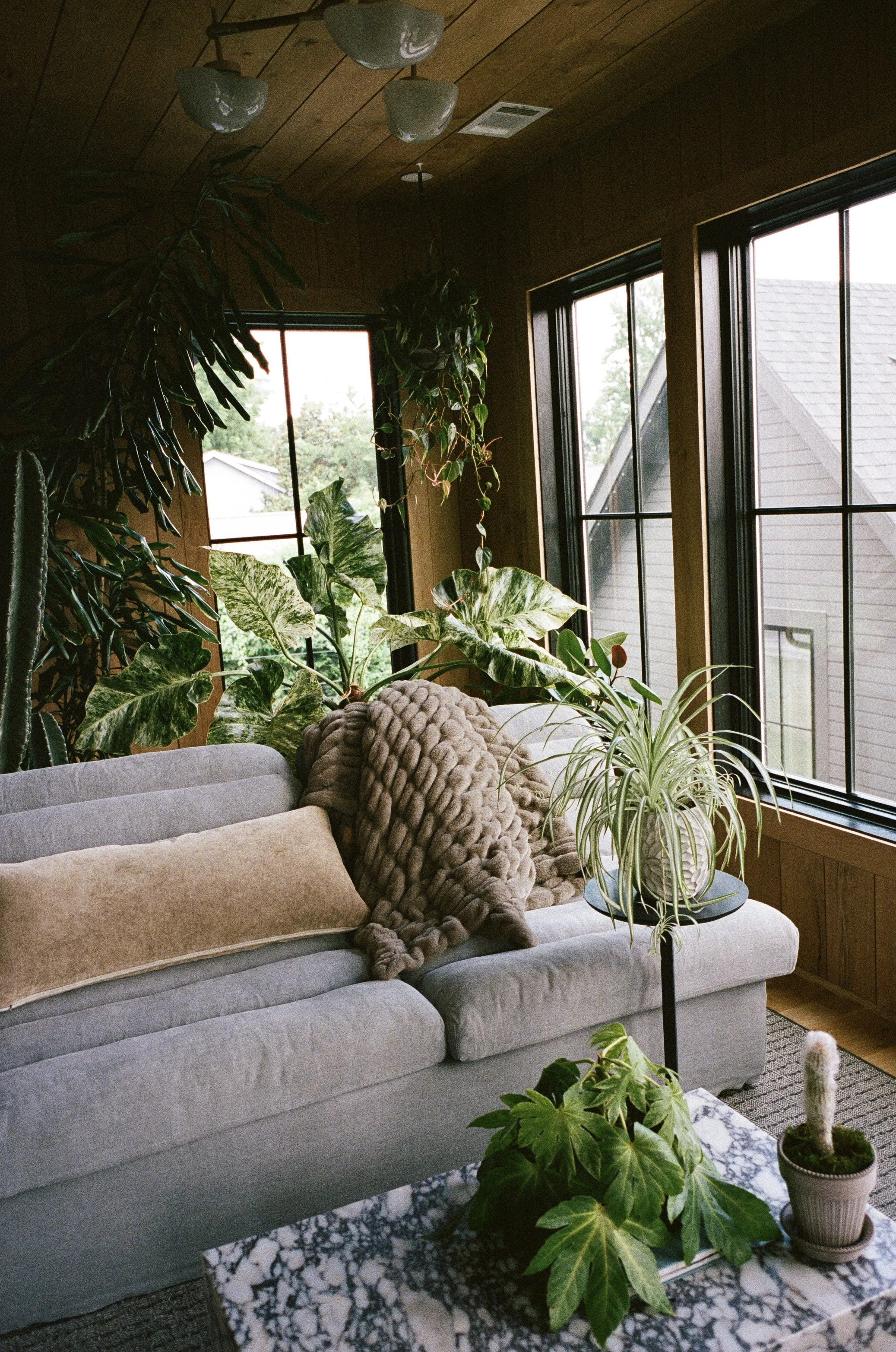 Plant Savvy, Heathers, Nashville, TN