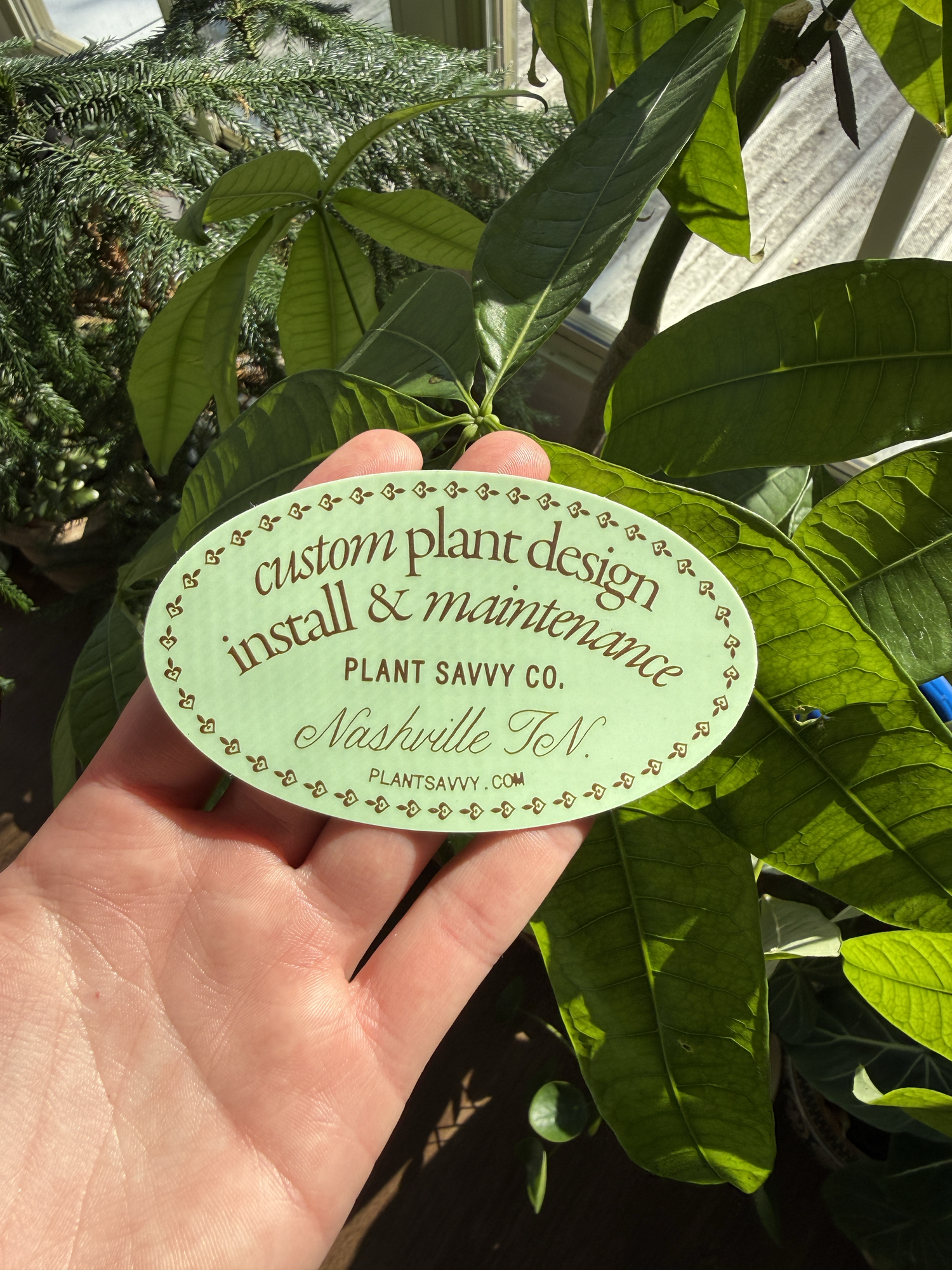 Plant Savvy Sticker