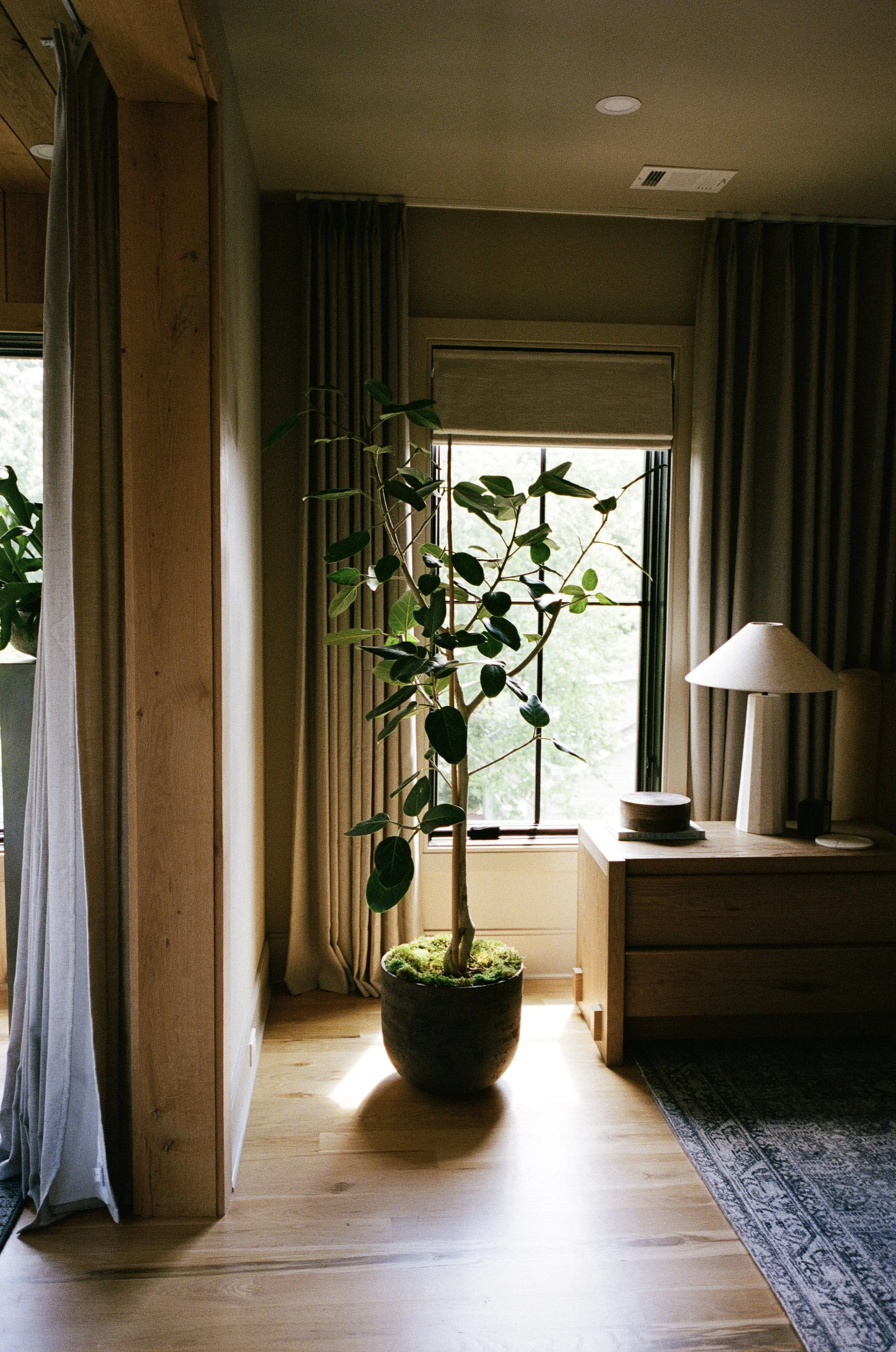 Plant Savvy, Sylvan Park Garden Retreat, Nashville, TN