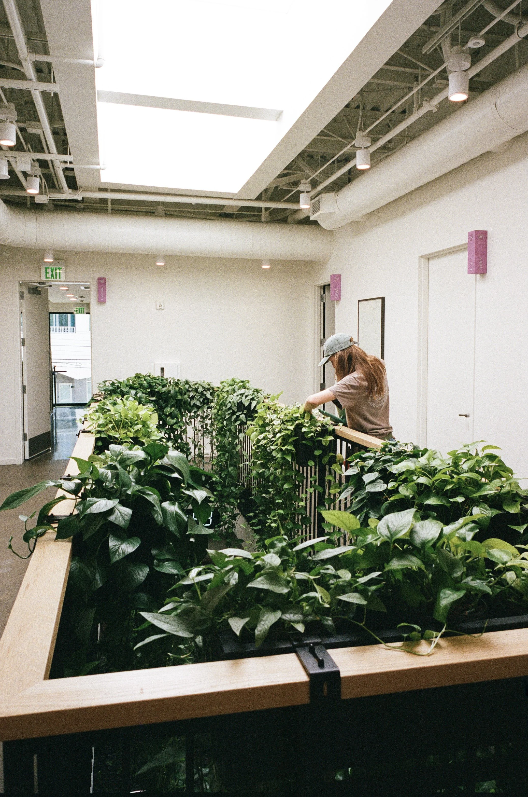 Framework Cold Plunge and Sauna, Weho Flagship, Plant Savvy, Plant Maintenance