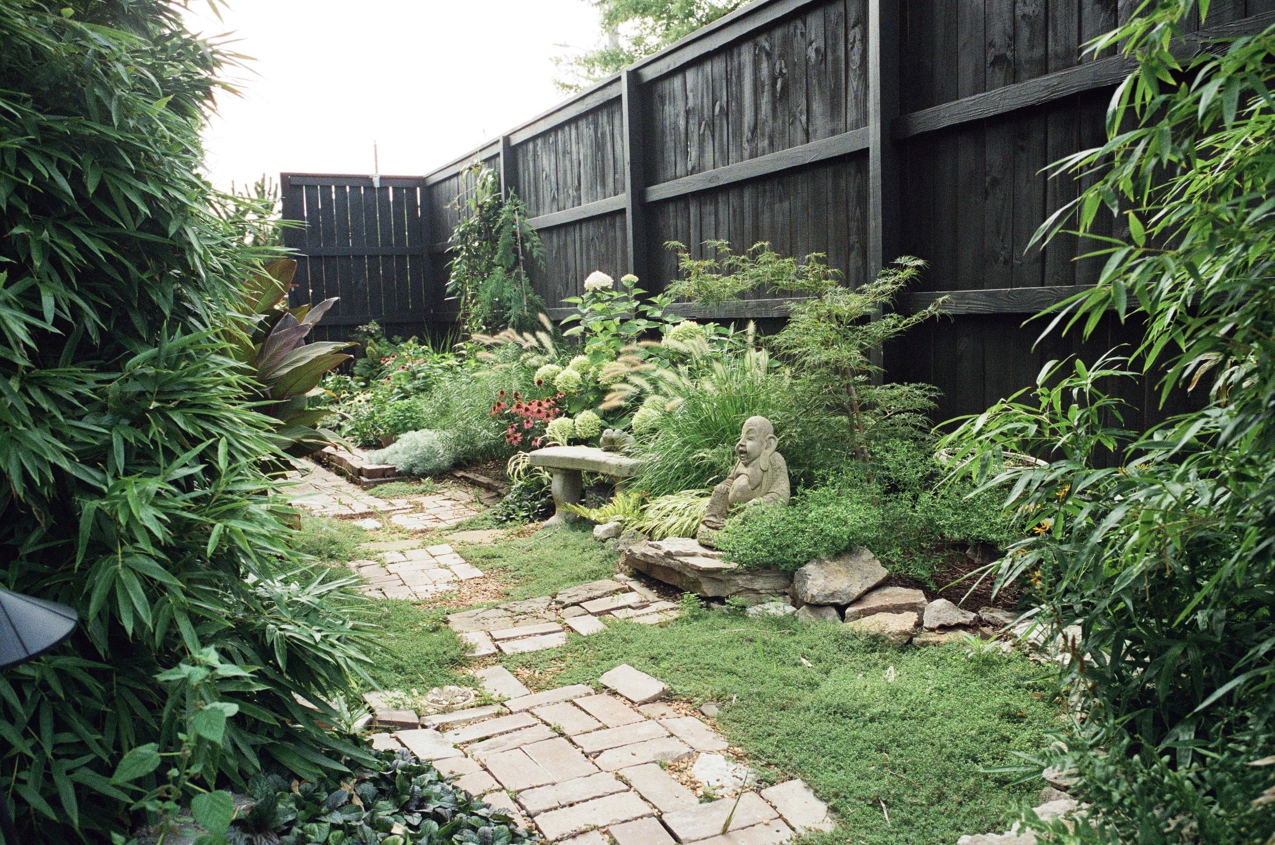 Exterior Landscape Design, 5 Points Hotel, Plant Savvy