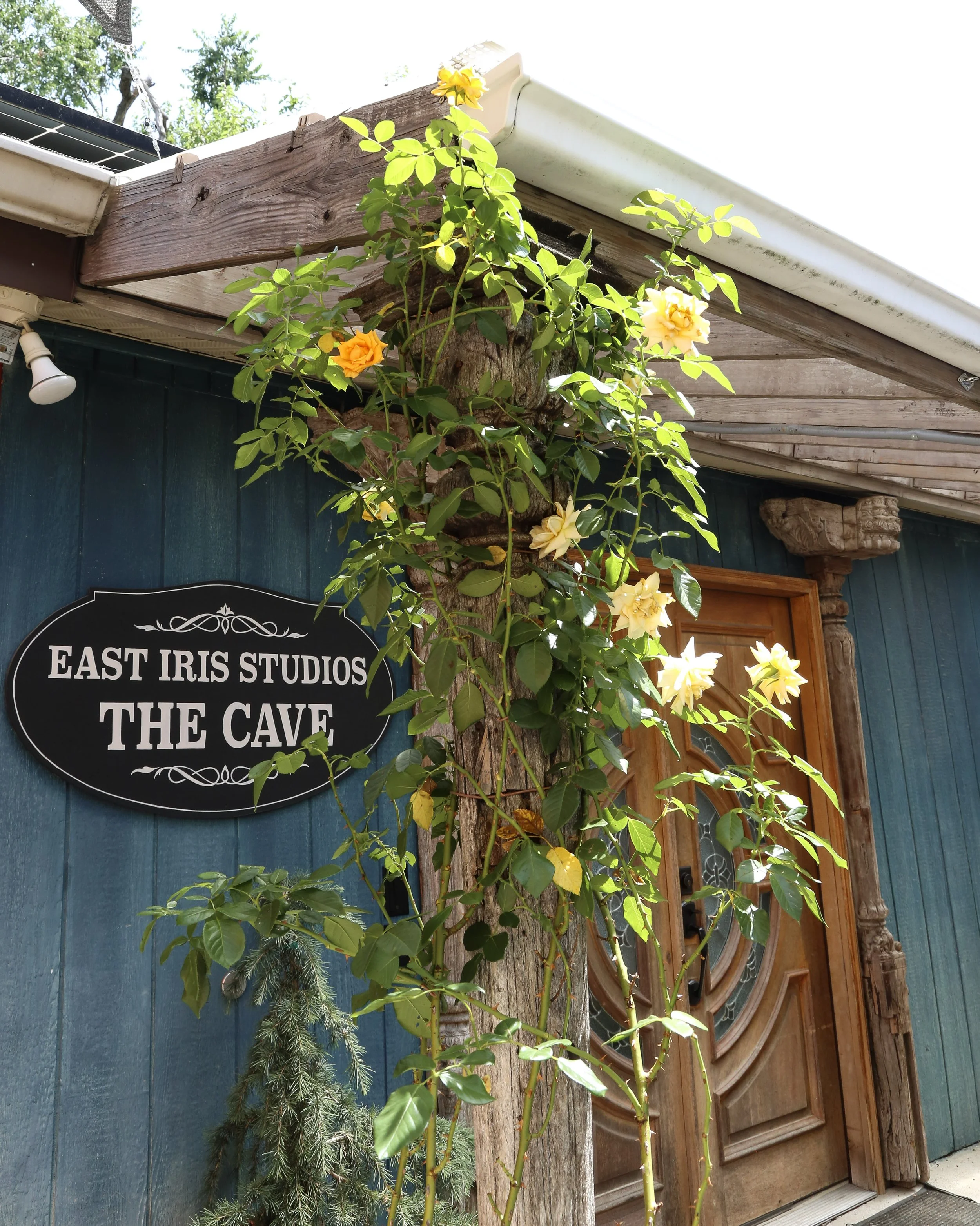 East Iris Studios Plantccaping Plant Savvy