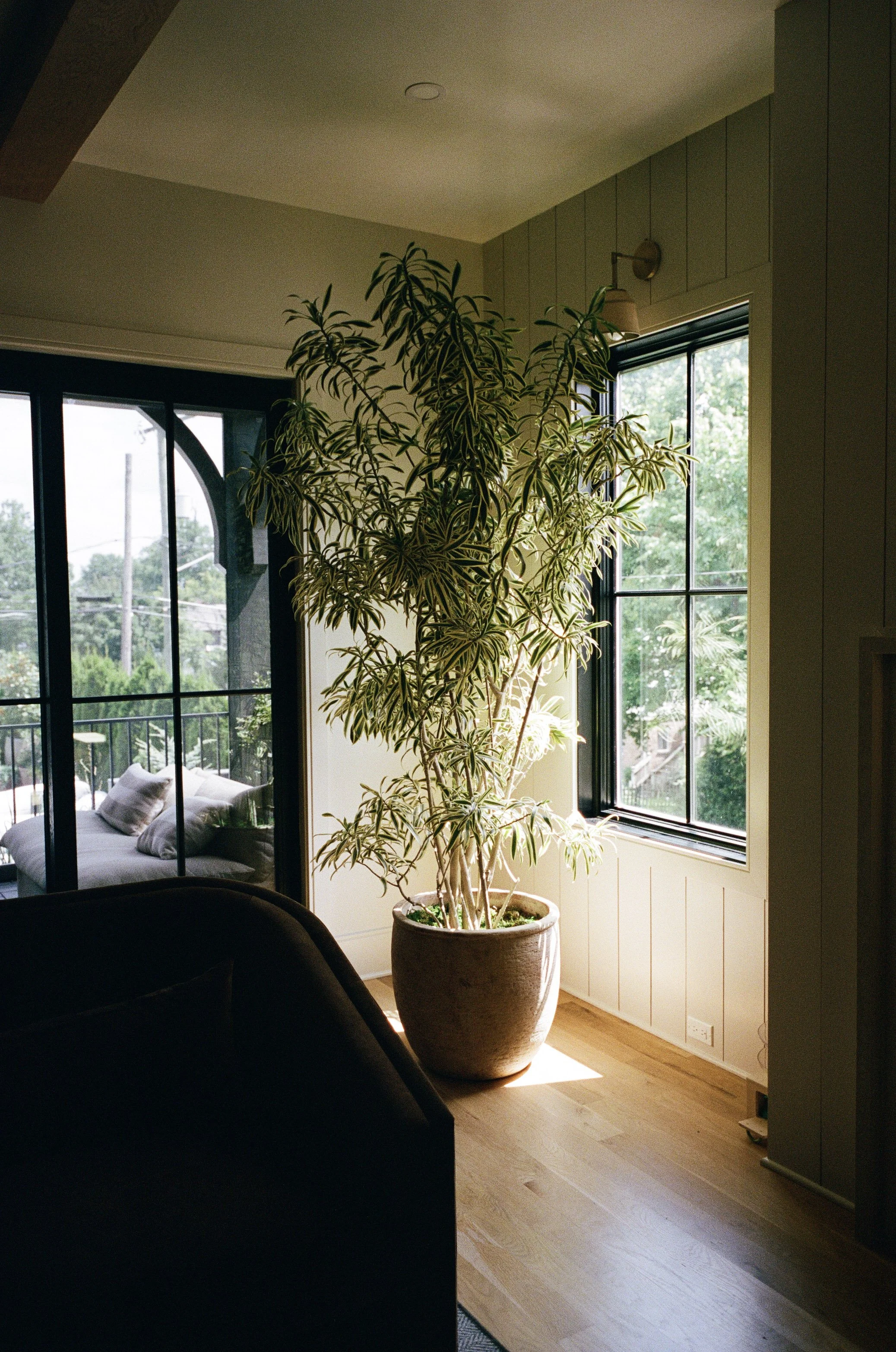 Plant Savvy, Heathers, Nashville, TN
