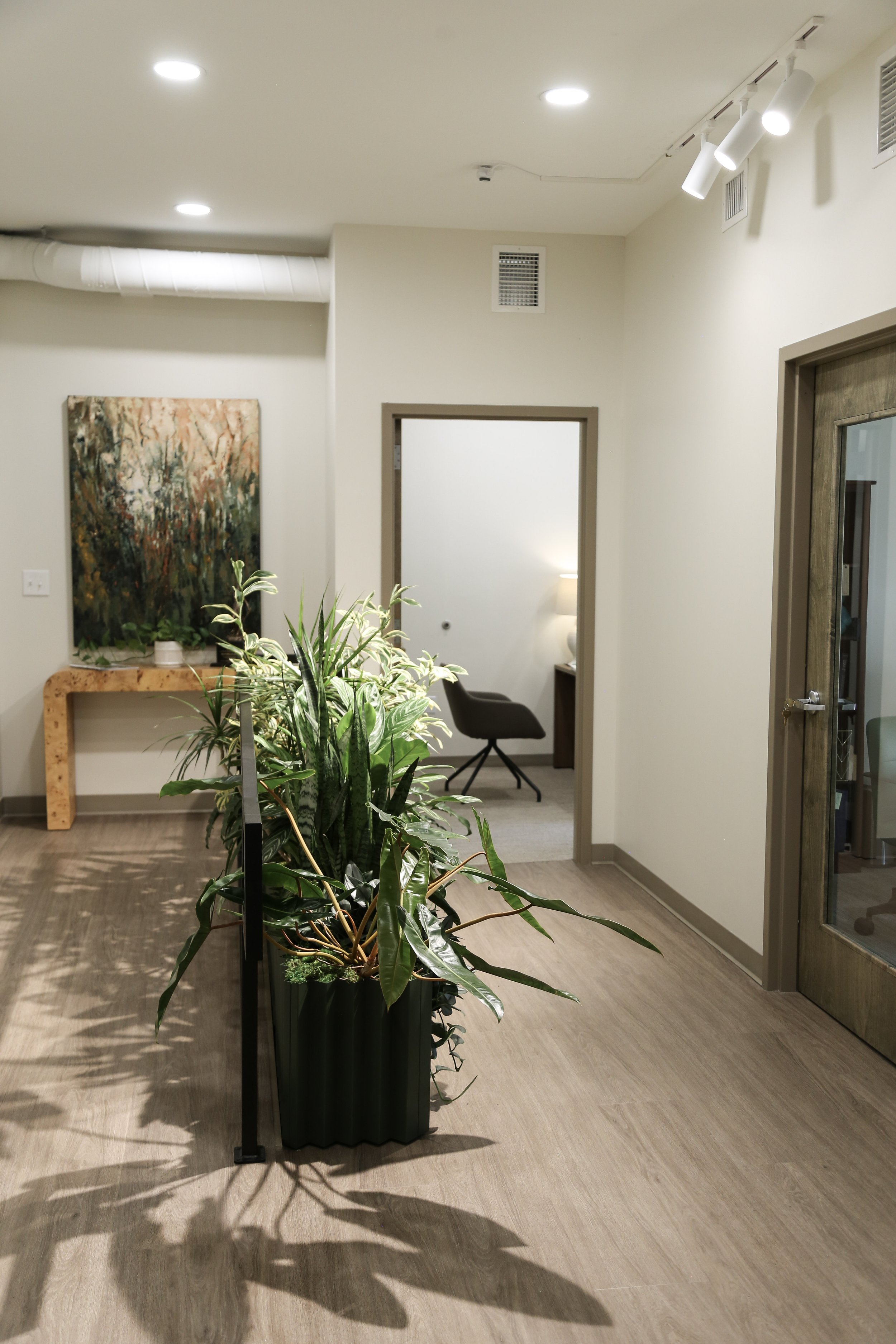 HMC Law Firm Grow light and Planter Box Installation, Plant Savvy