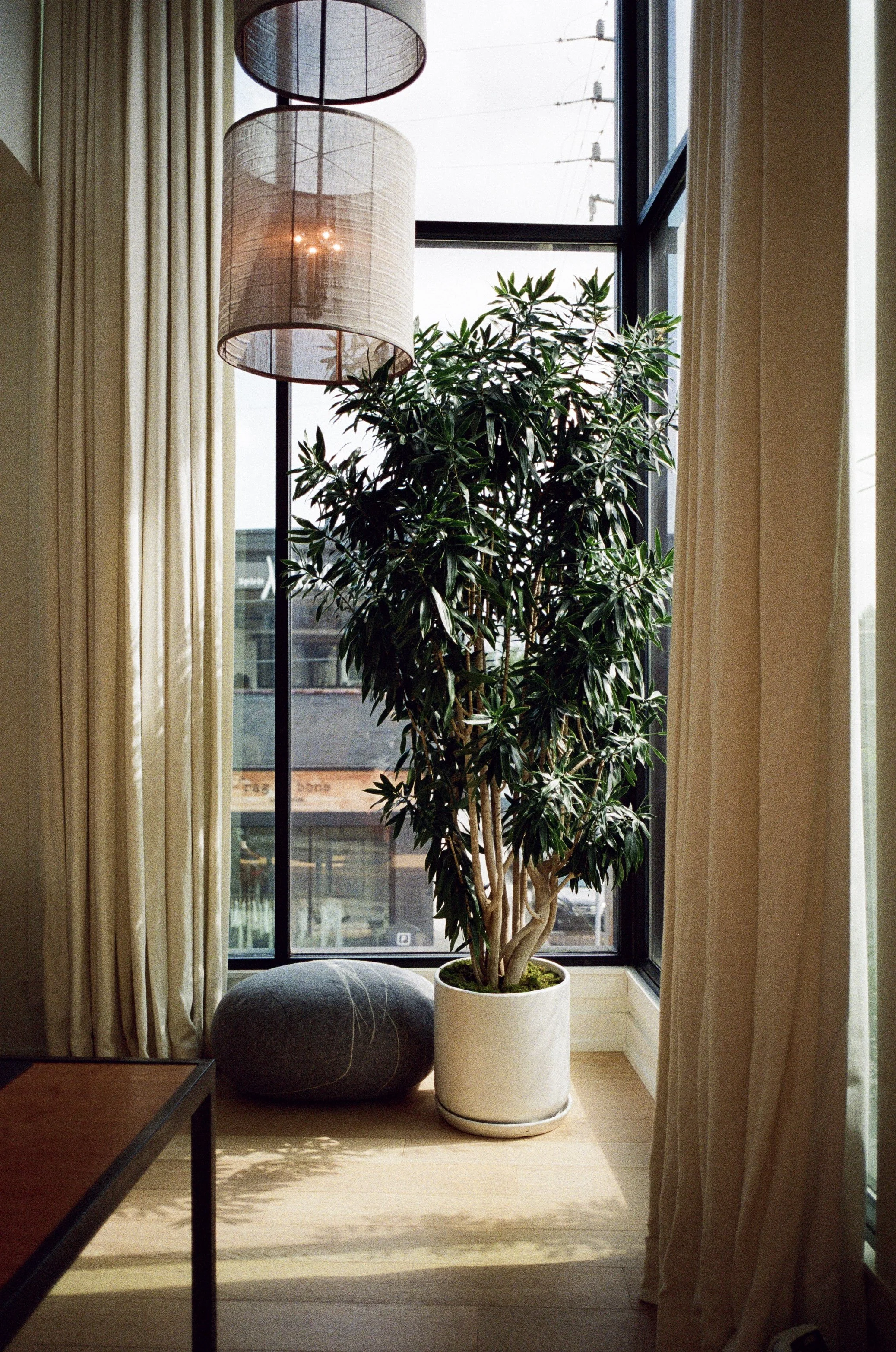Plant Savvy Entertainment Office, Nashville, TN