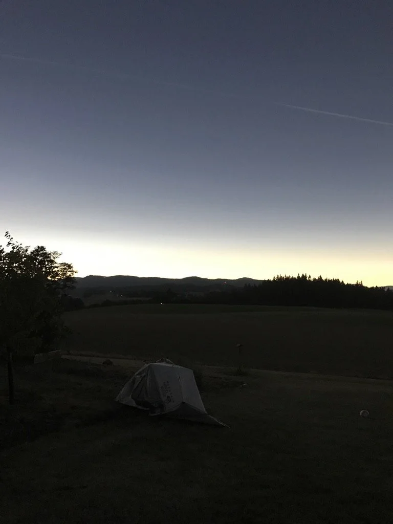 07BCBF63-4838-433C-9C4C-4CC065940DD0_1_105_c.jpeg