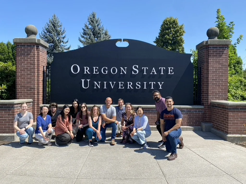 B79E1246-1663-444C-AC72-61C928335006_1_105_c.jpeg