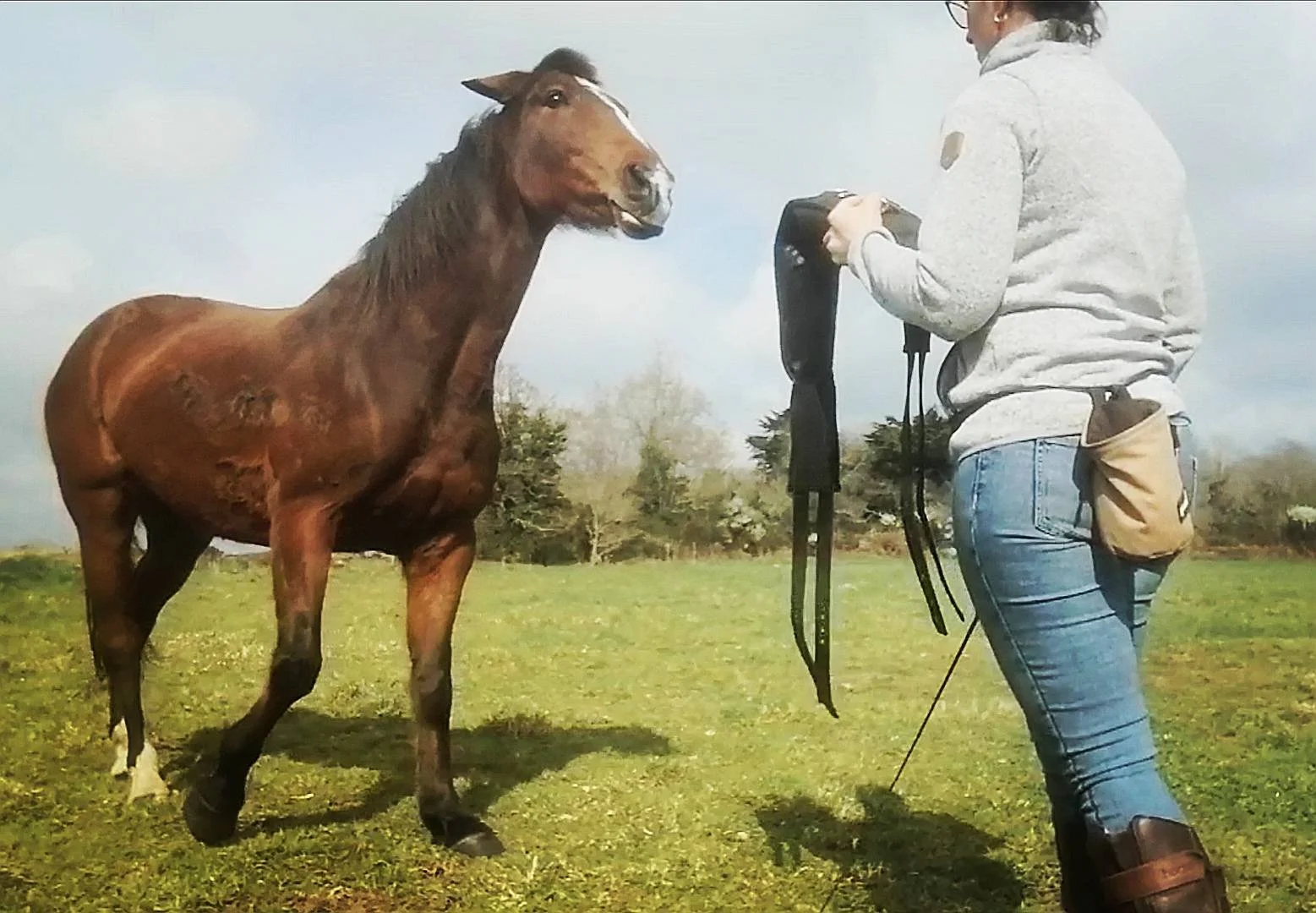 Une femme tient un appareil photo face à un cheval brun dans un champ avec des arbres en arrière-plan.