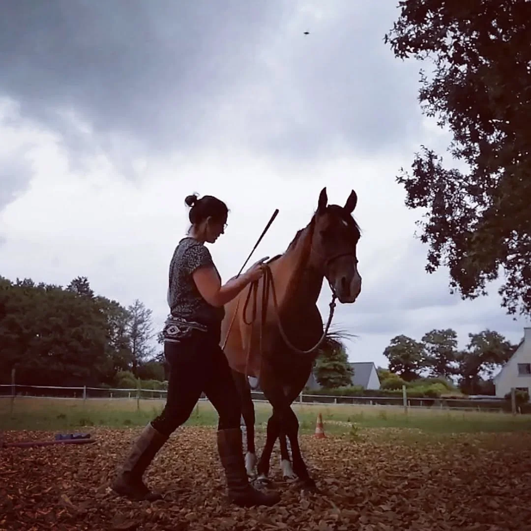 Une femme guide un cheval dans un enclos en extérieur par temps nuageux.