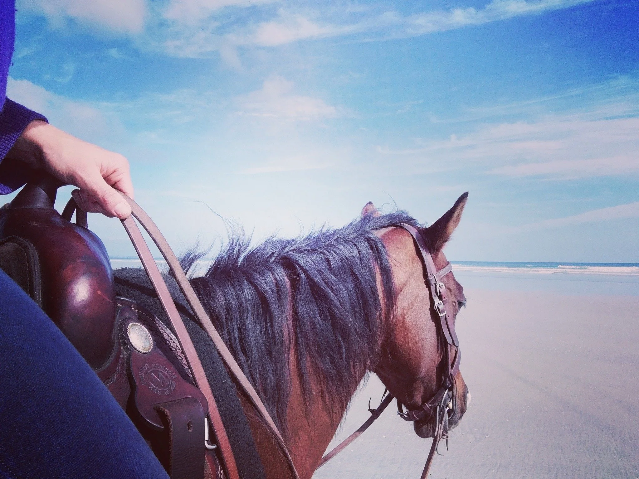 Personne montant un cheval à la plage sous un ciel bleu avec quelques nuages.