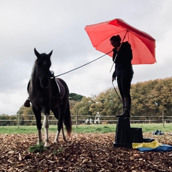 Une femme debout sur une boîte à côté d'un cheval dans un champ, tenant un parapluie rouge au-dessus de sa tête, sous un ciel nuageux.