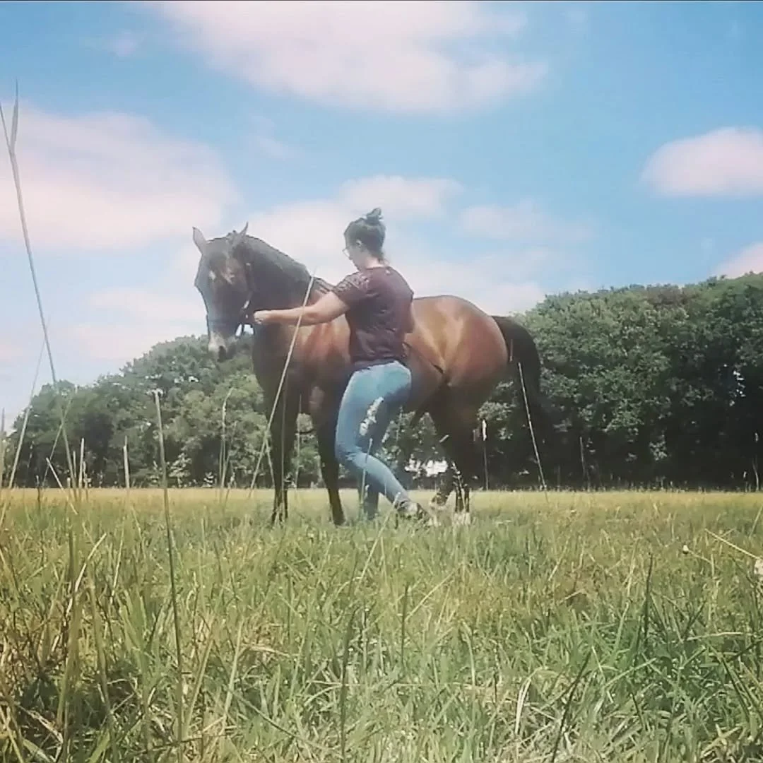 Une femme chevauchant un cheval dans un champ herbeux sous un ciel bleu avec quelques nuages.