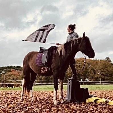 Une femme avec un cheval brun dans un champ, tenant un parapluie et un outil électrique.