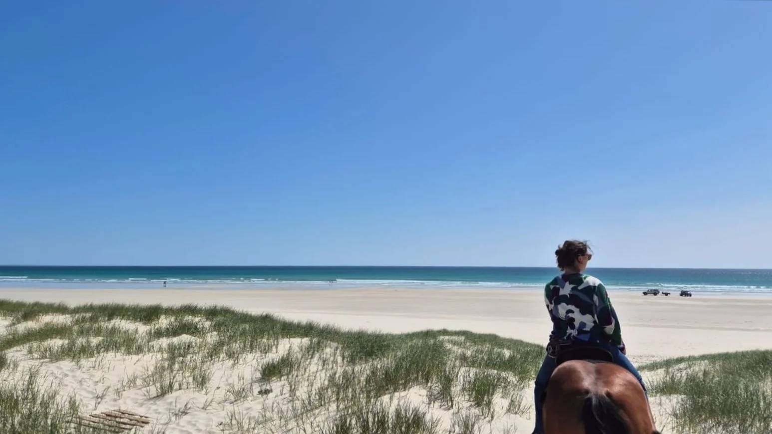 Personne à cheval regardant l'océan sur une plage ensoleillée avec sable blanc et herbe verte.