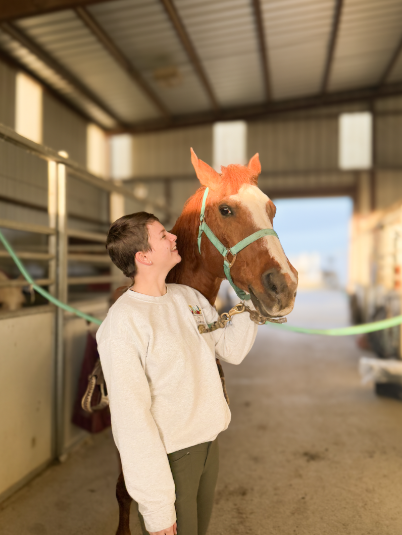 A boy smiling and holding a brown and white horse's head inside a stable.