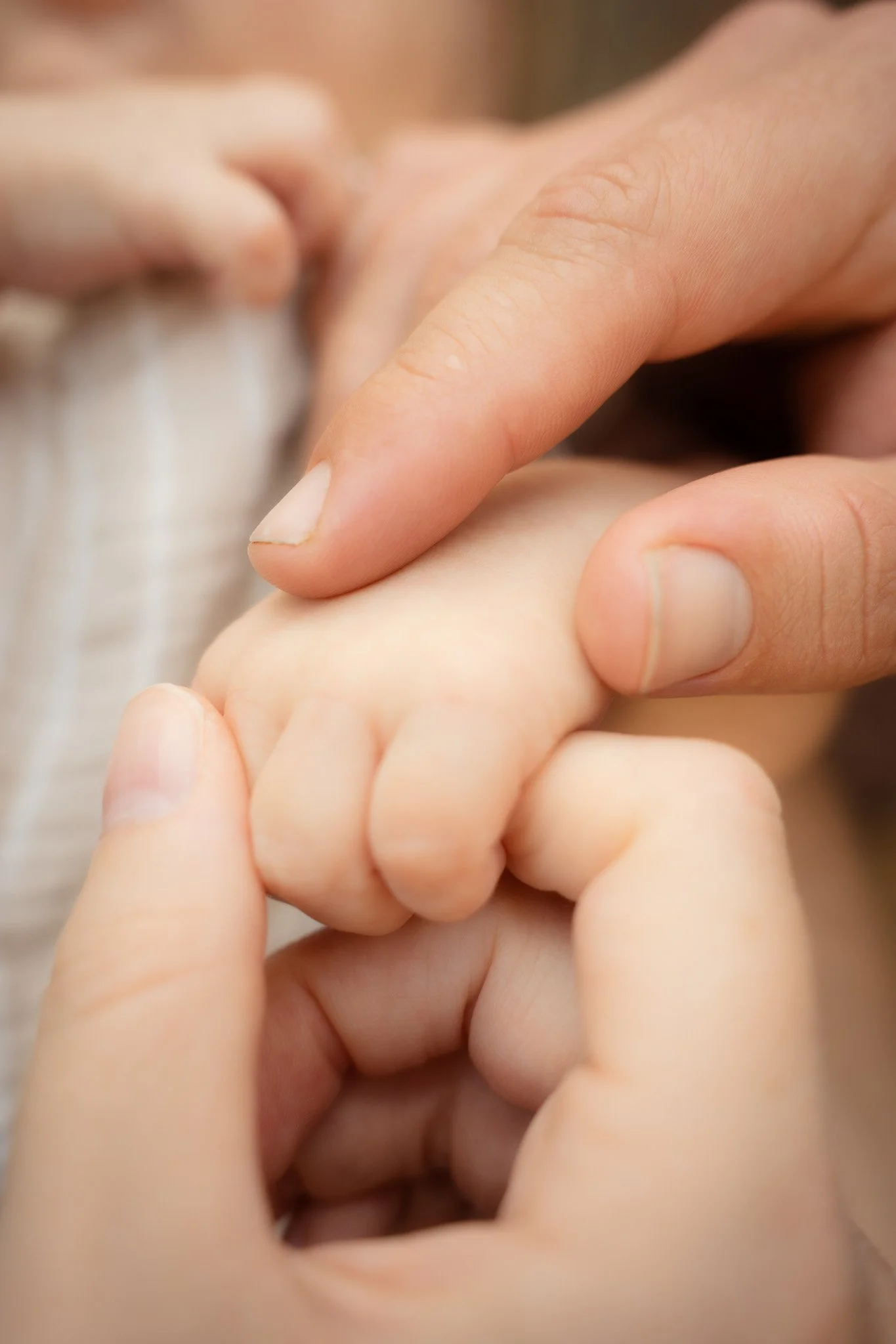 Close-up of an adult's hand holding a child's tiny hand, emphasizing the connection between adult and child.