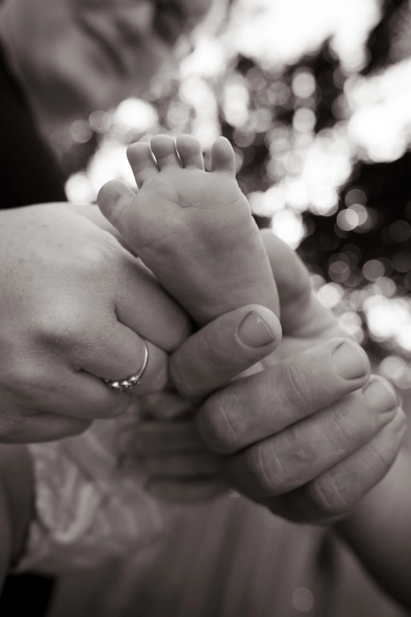 Close-up of an adult hand gently holding a small baby's hand, both hands are out of focus in the background with bokeh effect.