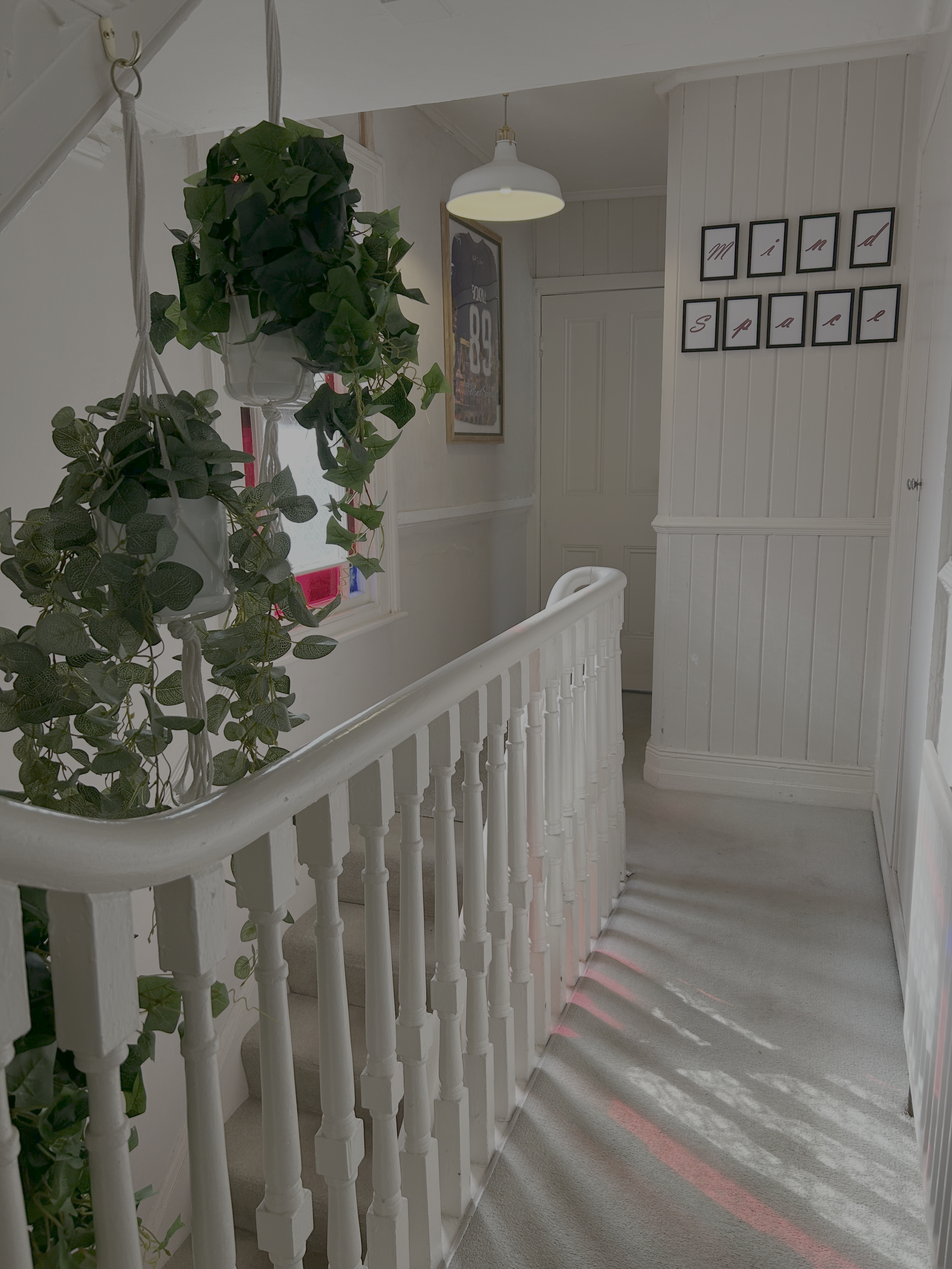 A hallway with white walls, a white banister, a hanging bowl-shaped light, framed sports memorabilia on the wall, and potted green plants.
