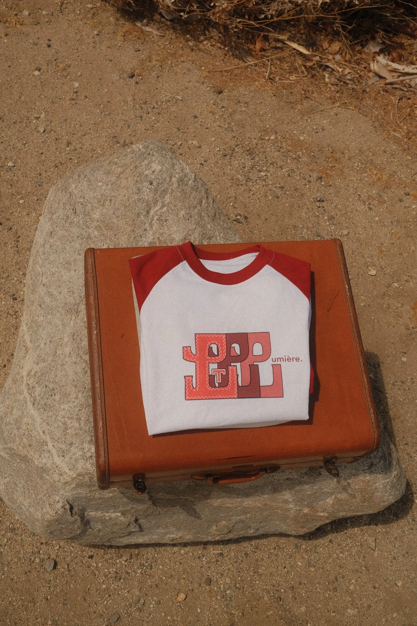 Red L on suitcase.jpg