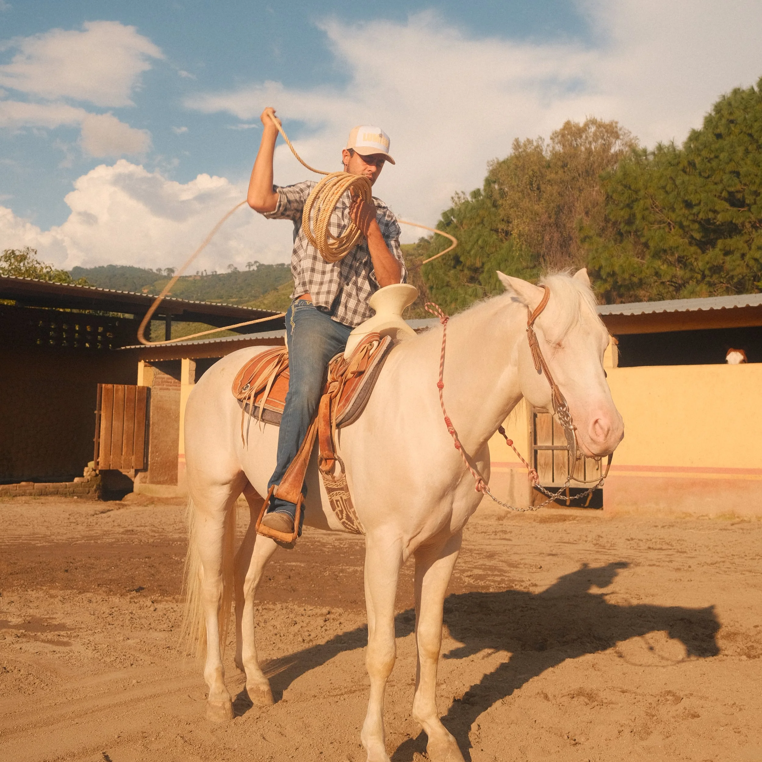 A man riding a white horse holds a lasso over his shoulder, wearing a baseball cap, plaid shirt, and jeans, in an outdoor setting with trees and a partly cloudy sky.