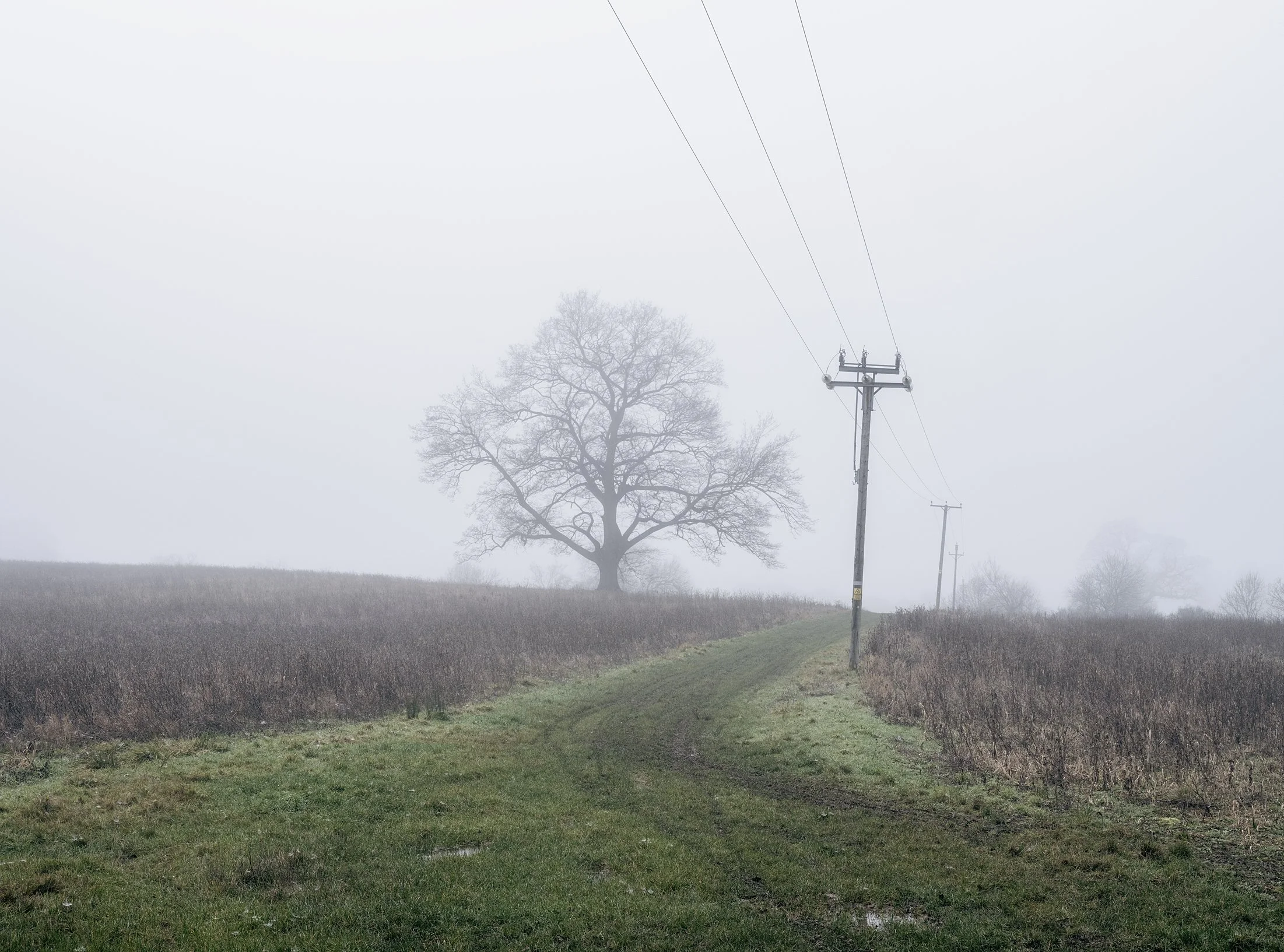 Field_Work_0000_Layer 11.jpg