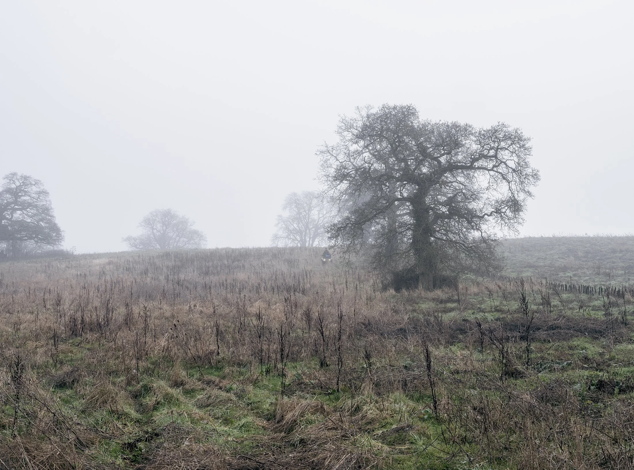 Field_Work_0001_Layer 10.jpg