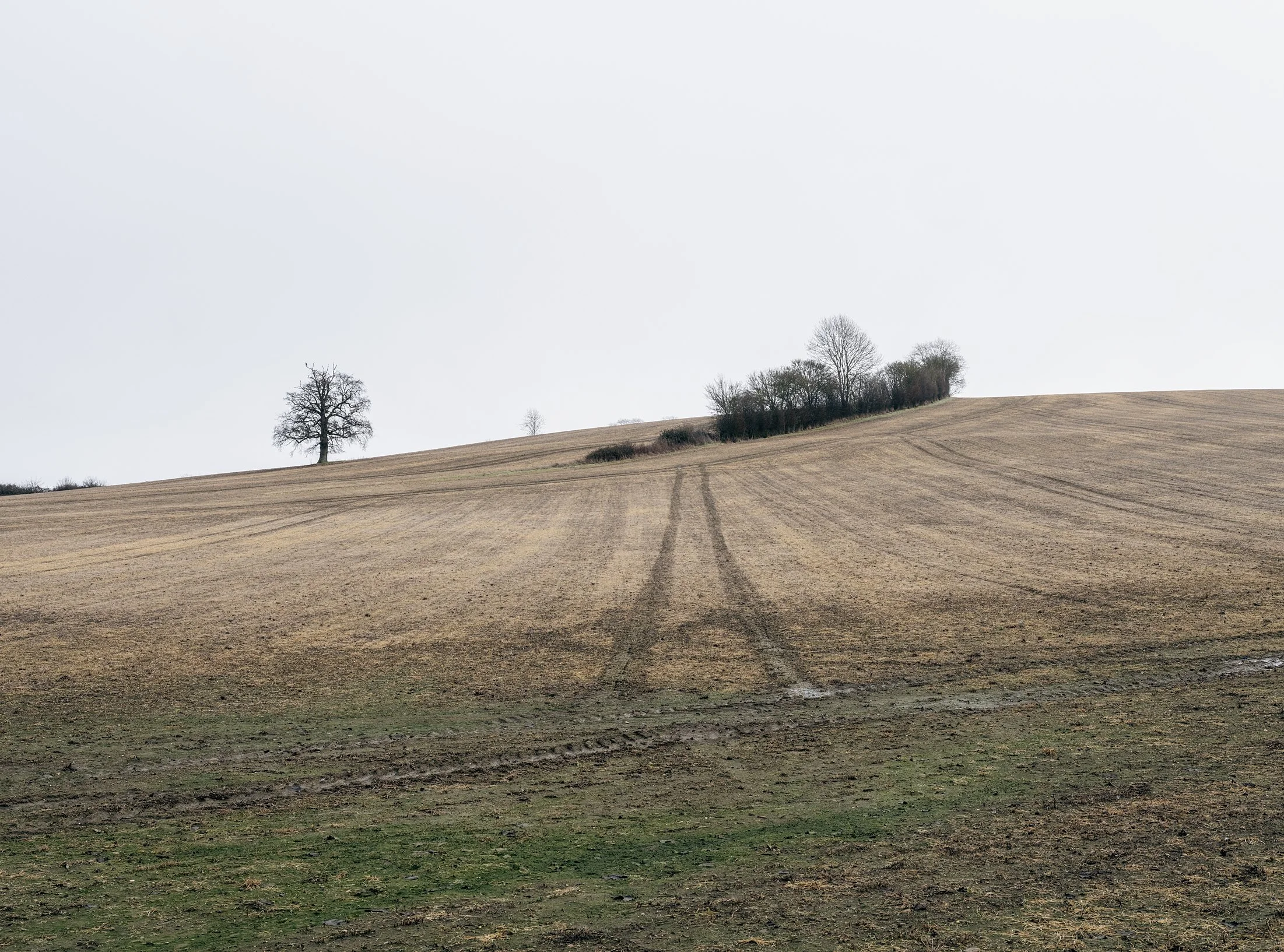Field_Work_0003_Layer 8.jpg