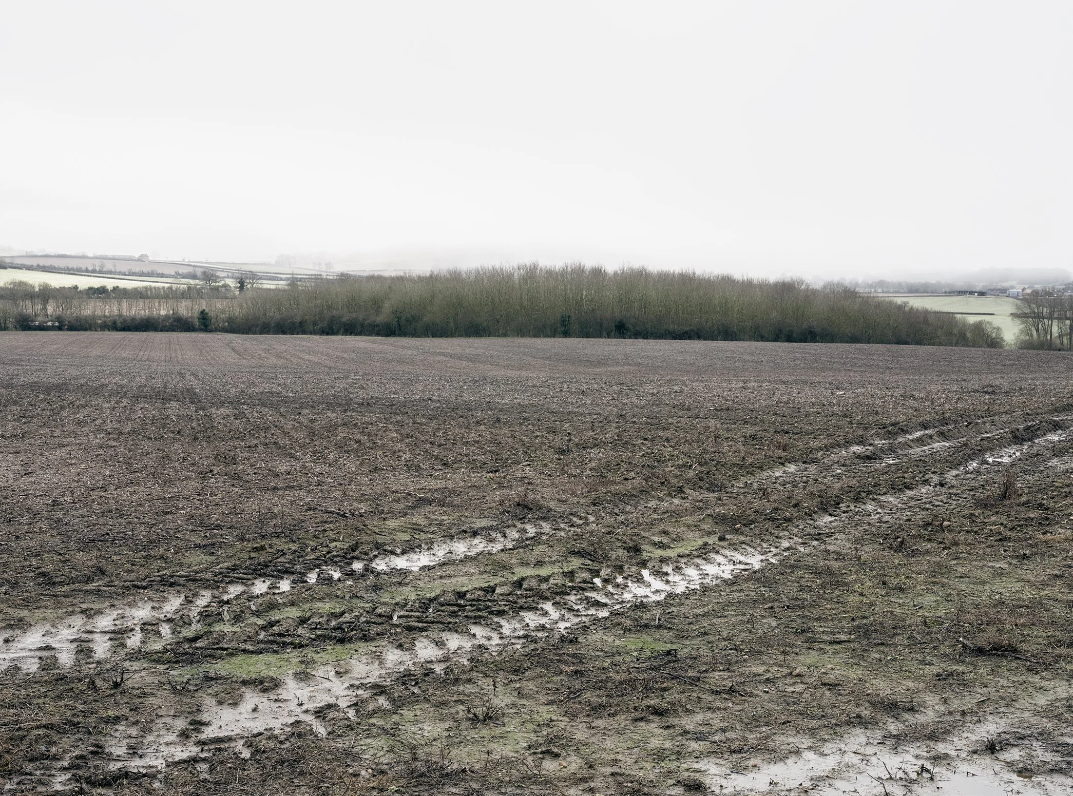 Field_Work_0004_Layer 7.jpg