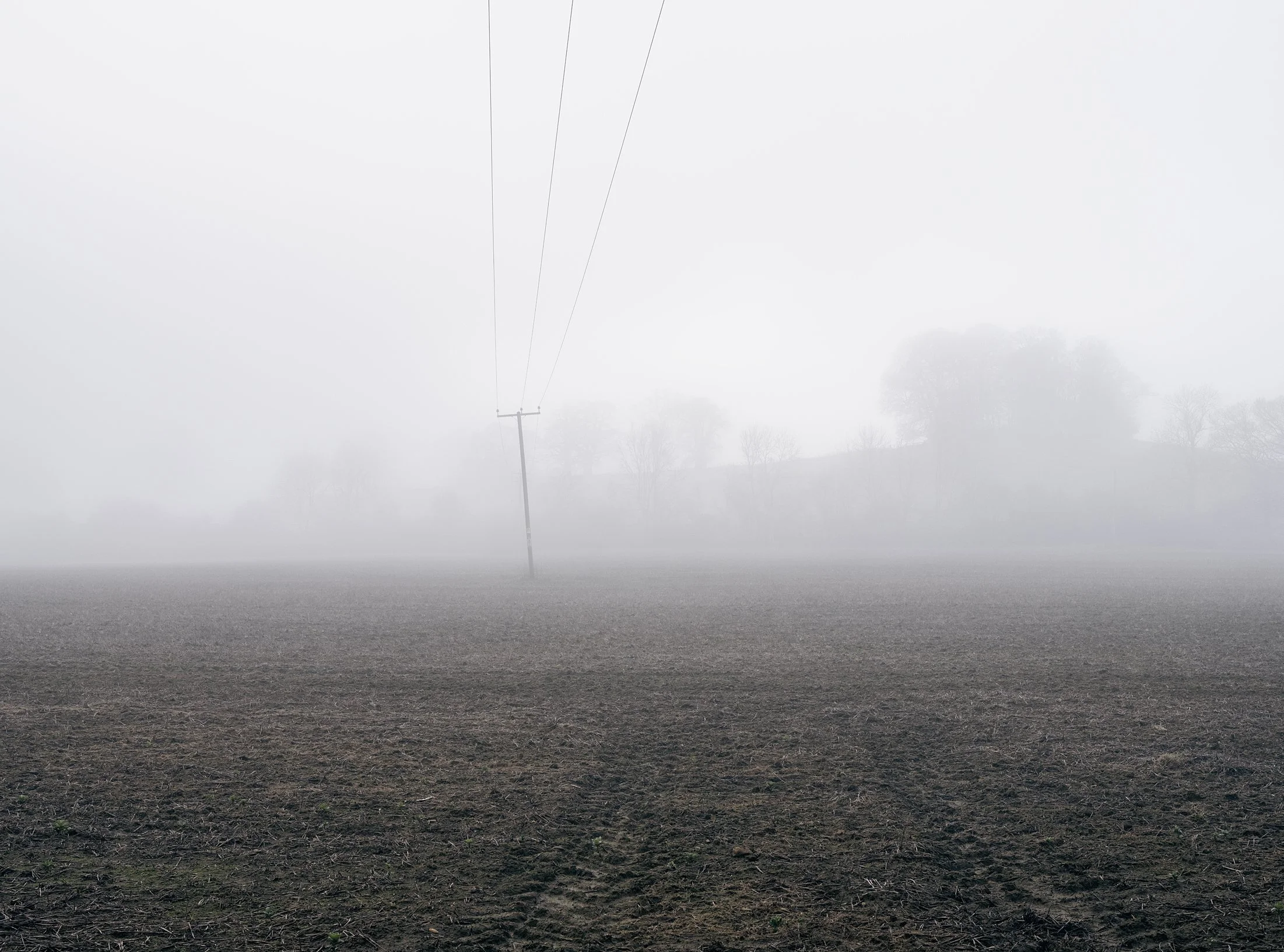 Field_Work_0005_Layer 6.jpg