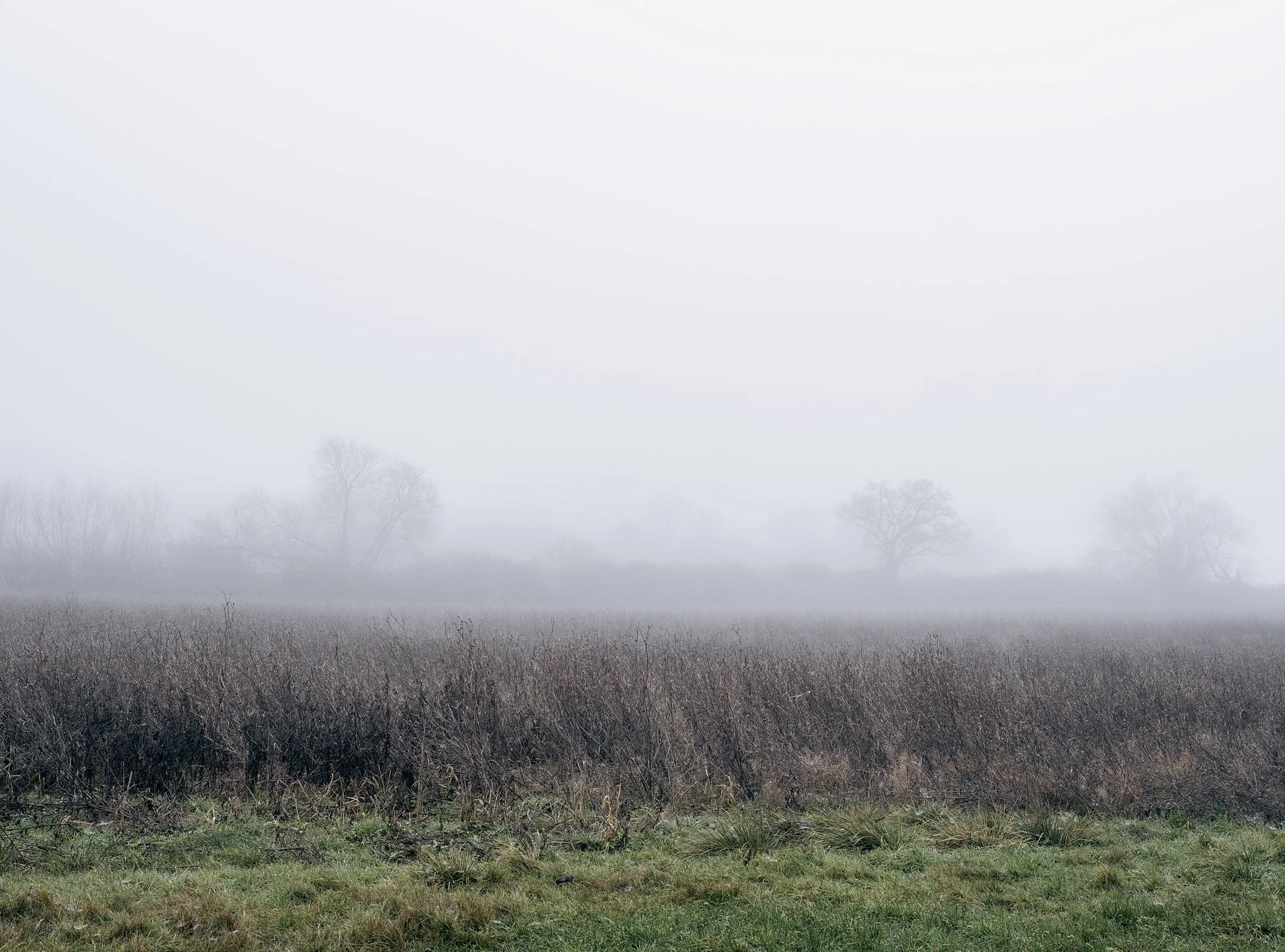 Field_Work_0008_Layer 3.jpg