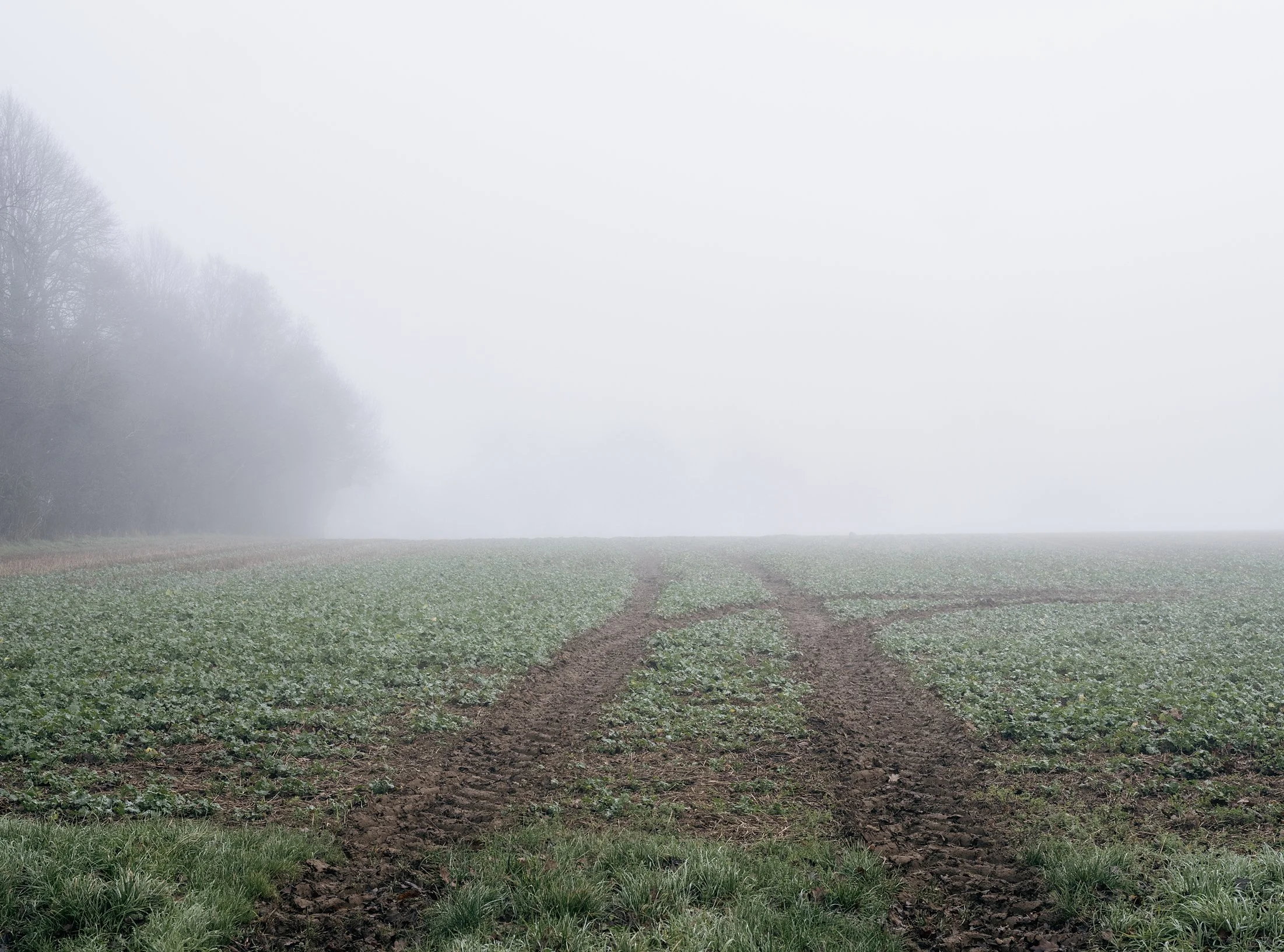 Field_Work_0009_Layer 2.jpg