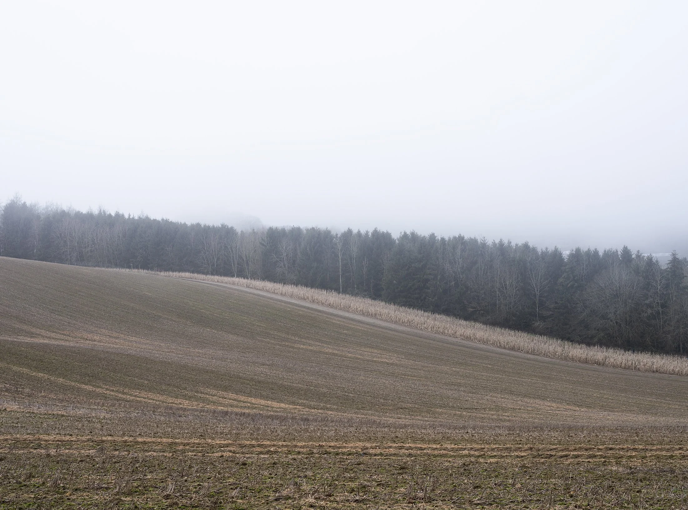 Field_Work_0010_Layer 1.jpg